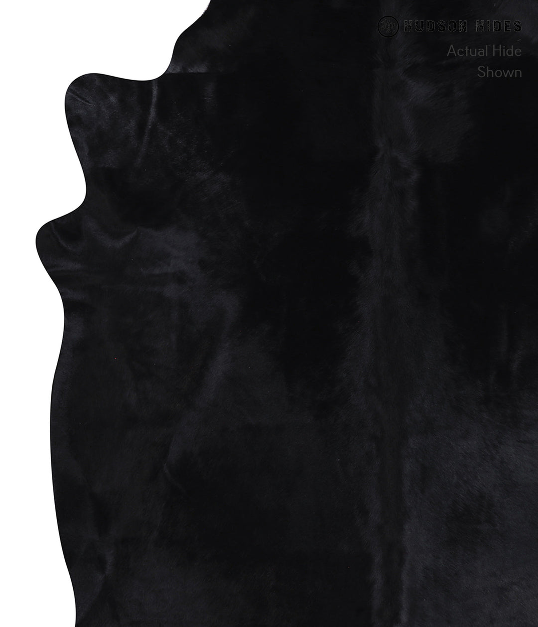 Dyed XX-Large Brazilian Cowhide Rug 8'3"H x 6'10"W #A7297 by Hudson Hi