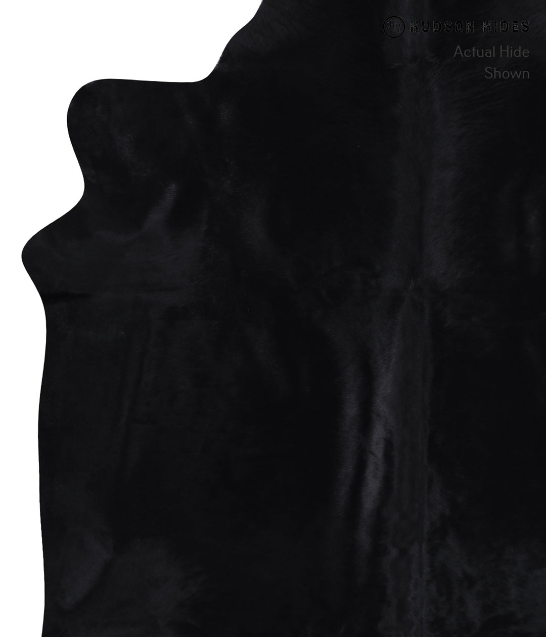 Dyed XX-Large Brazilian Cowhide Rug 8'0"H x 7'3"W #A7298 by Hudson Hid