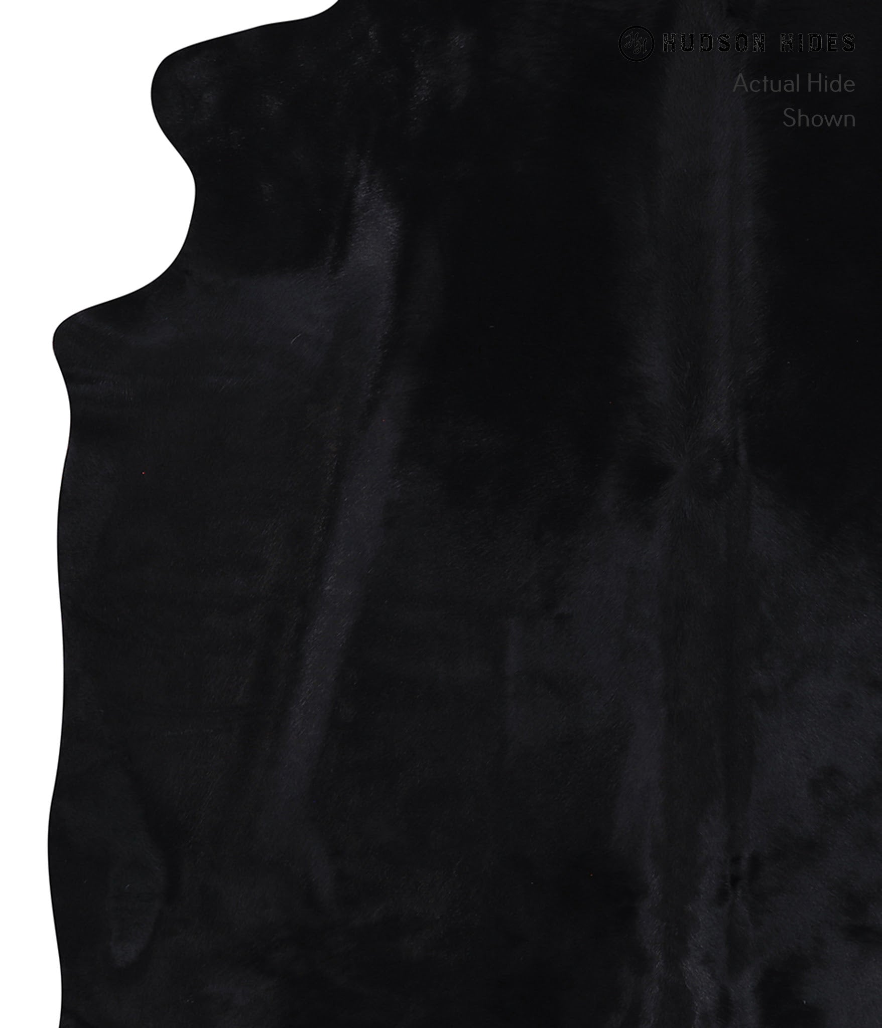 Dyed Cowhide Rug #A7299