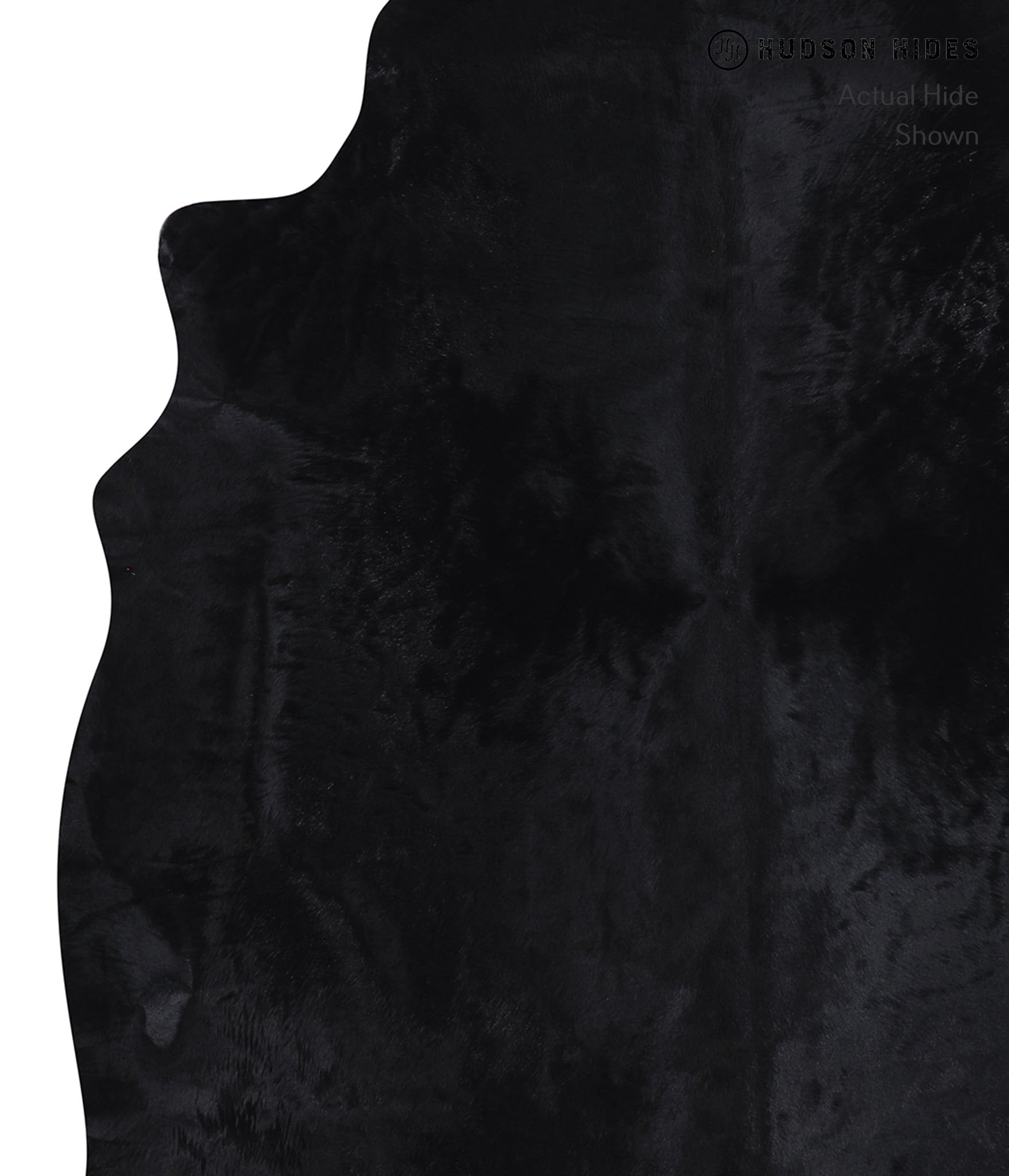 Dyed Cowhide Rug #A7300