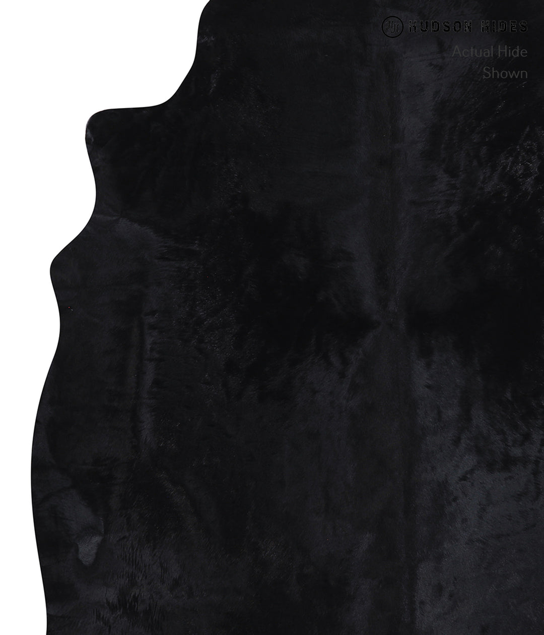 Dyed X-Large Brazilian Cowhide Rug 7'2"H x 6'9"W #A7300 by Hudson Hide