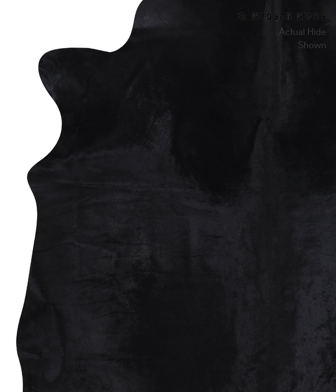 Dyed XX-Large Brazilian Cowhide Rug 7'9"H x 7'0"W #A7303 by Hudson Hid