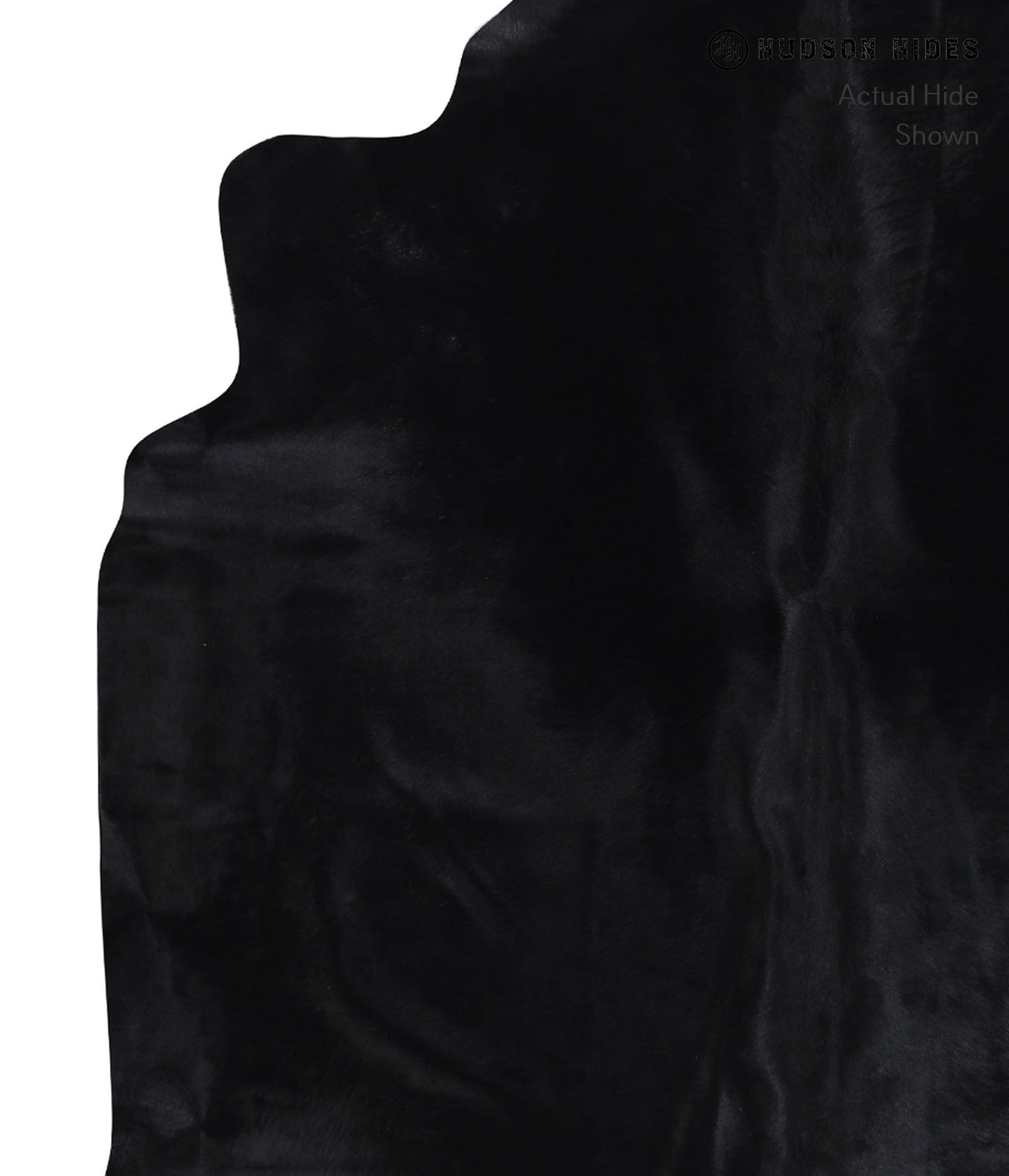 Dyed Cowhide Rug #A7305