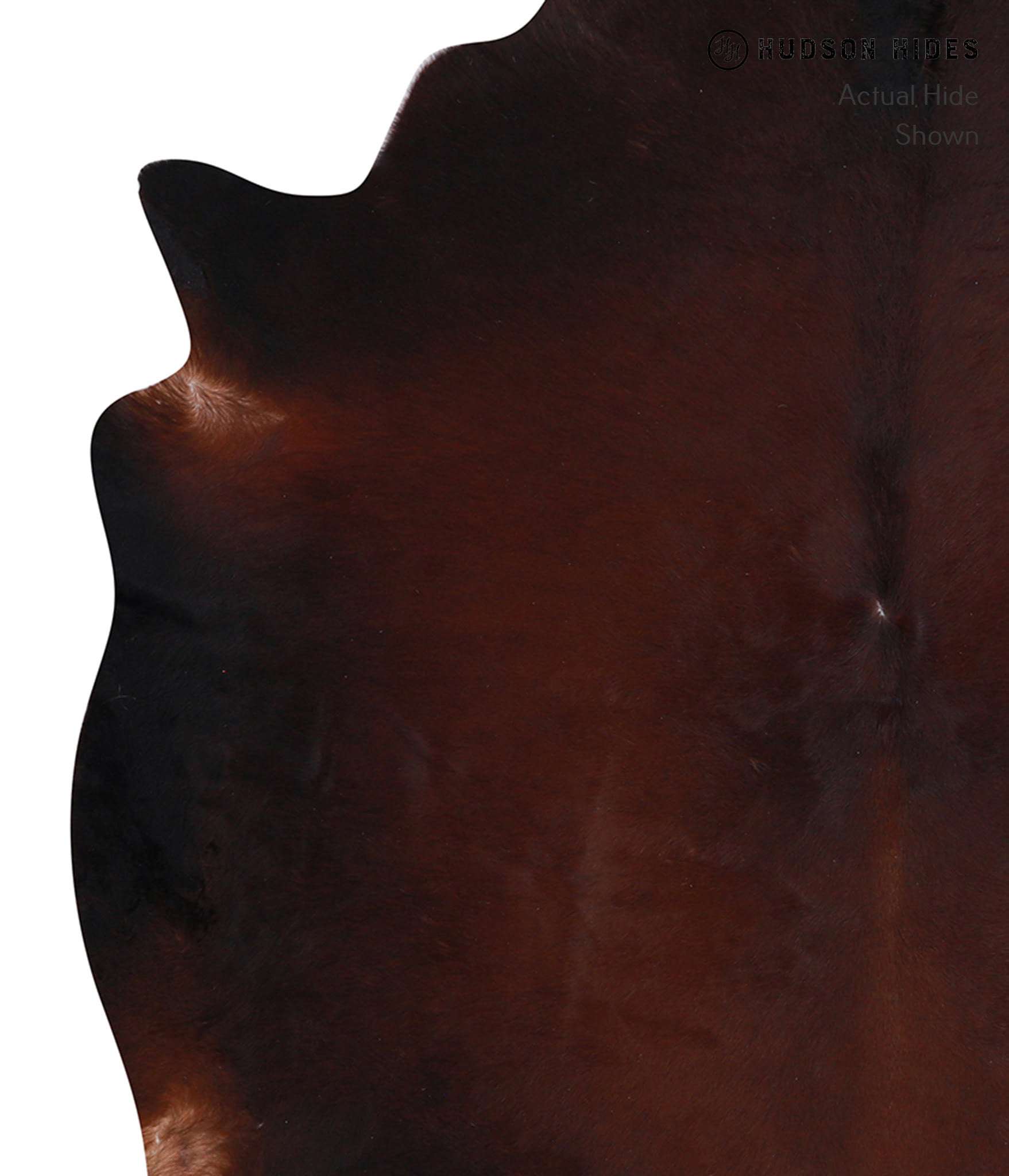 Brown with Red Cowhide Rug #A7387
