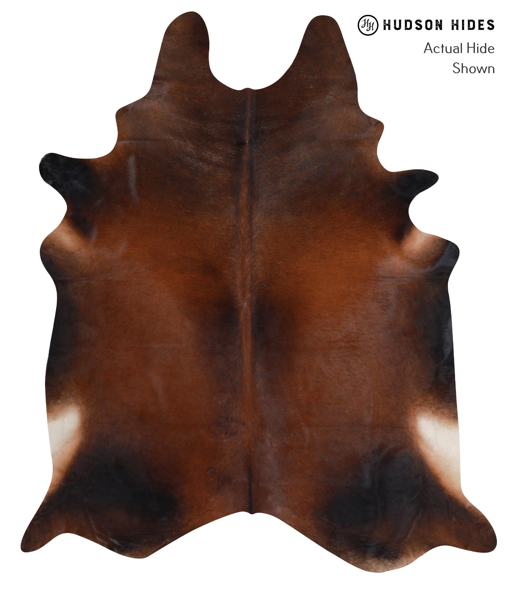 Brown with Red Cowhide Rug #A7428