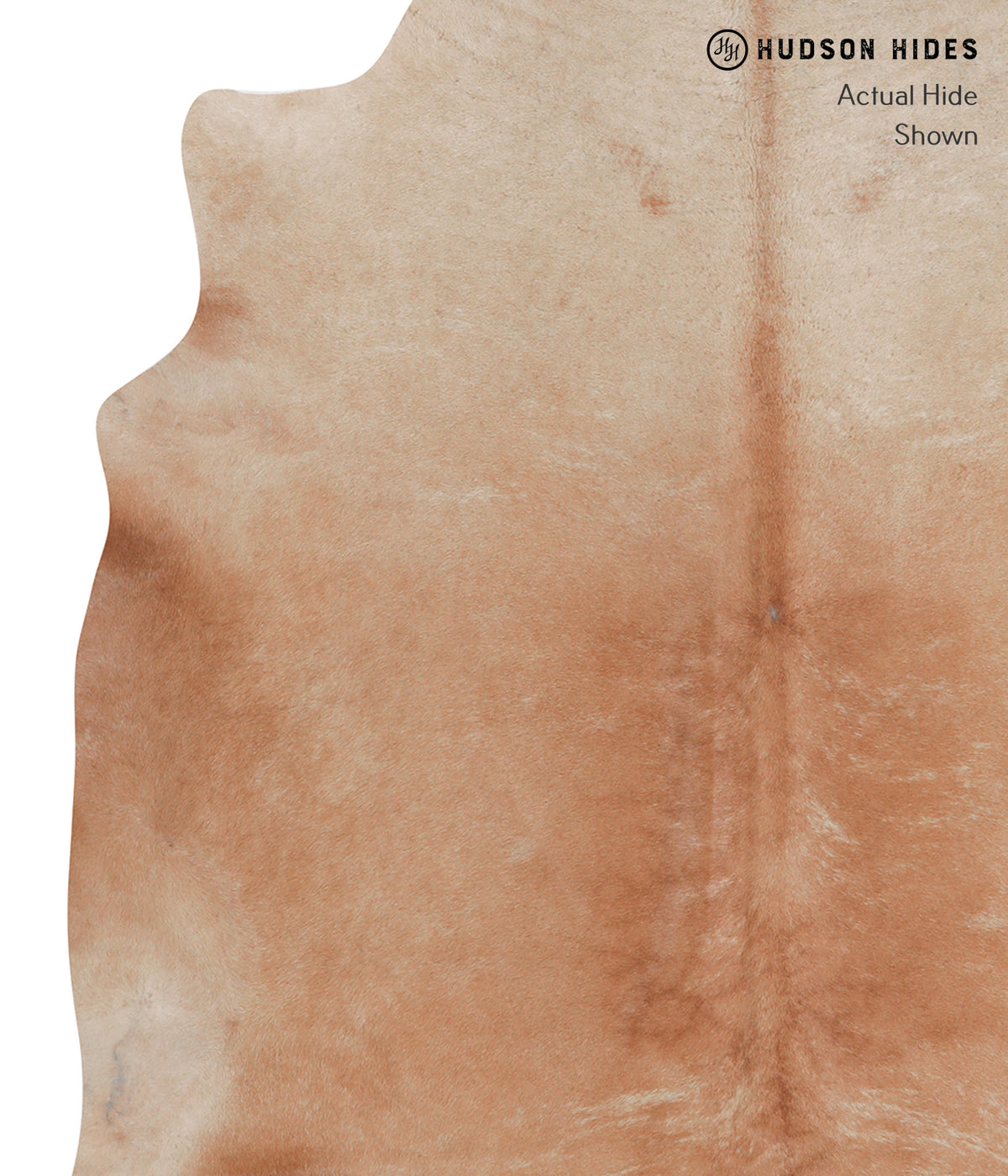 Solid Brown X-Large Brazilian Cowhide Rug 6'11"H x 6'4"W #A7451 by Hudson Hides