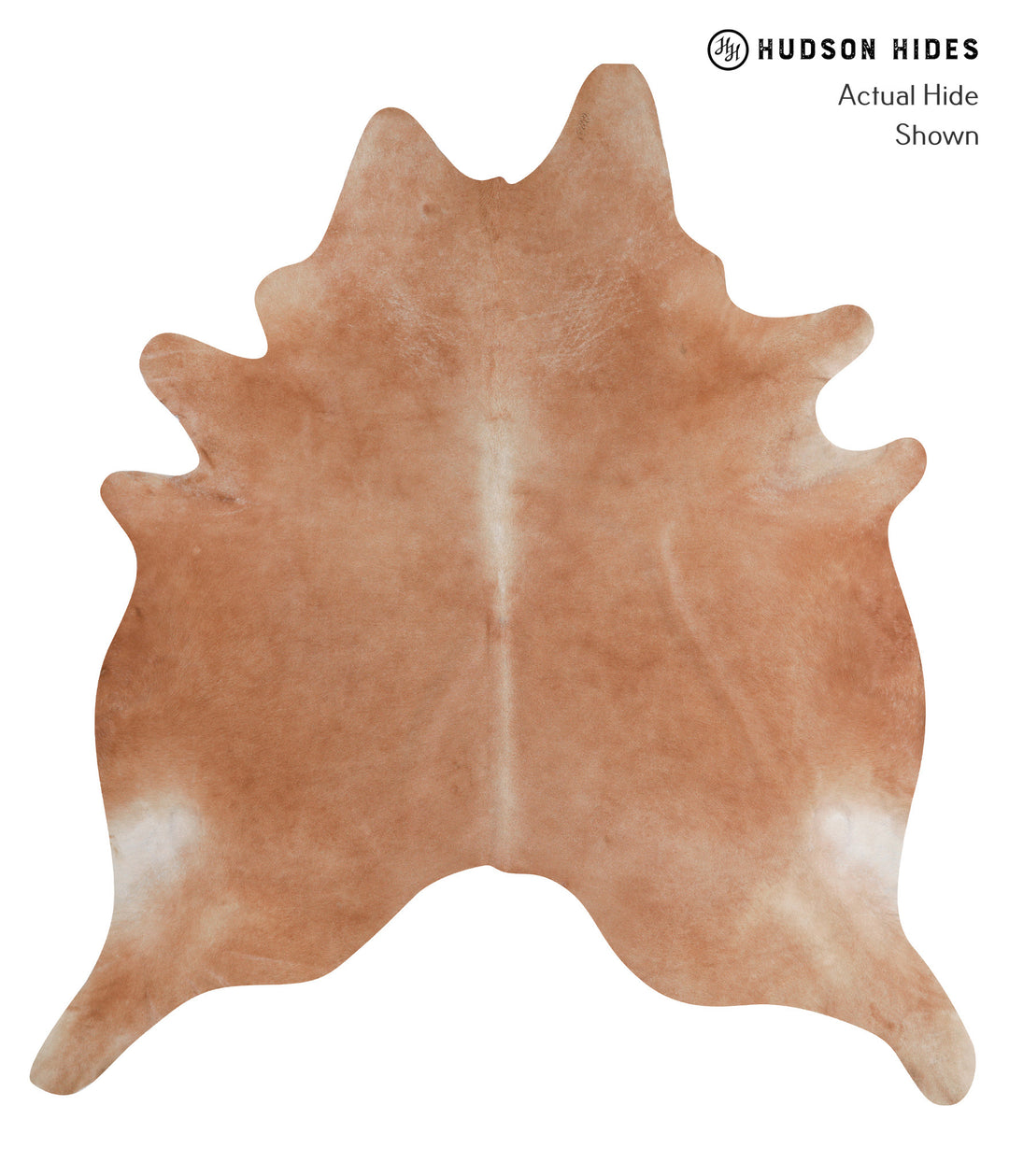 Solid Brown XX-Large Brazilian Cowhide Rug 8'3"H x 7'7"W #A7464 by Hud