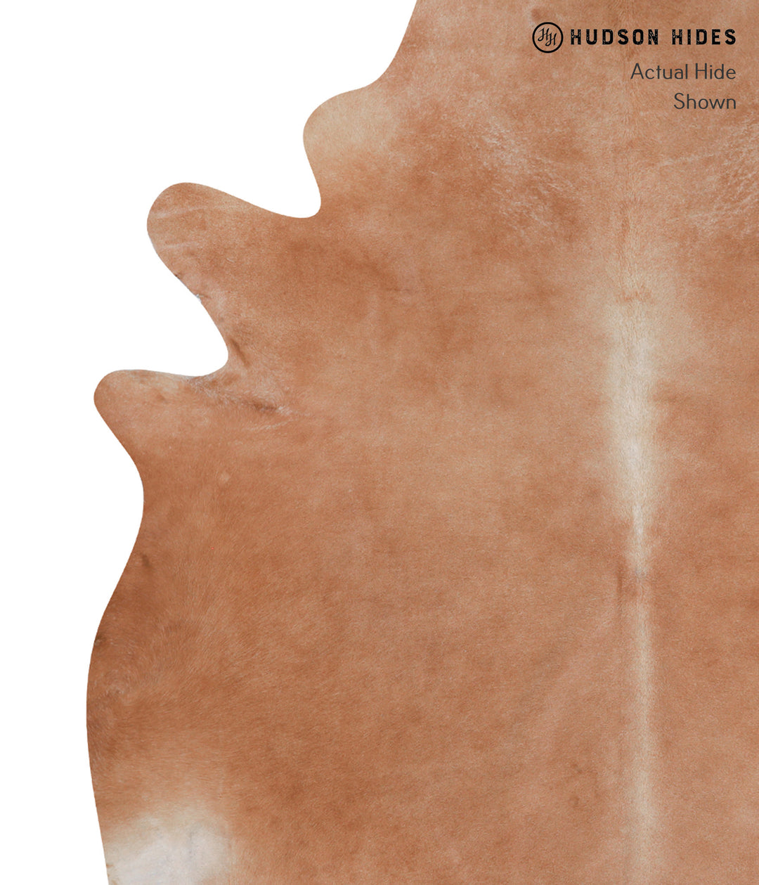 Solid Brown XX-Large Brazilian Cowhide Rug 8'3"H x 7'7"W #A7464 by Hud