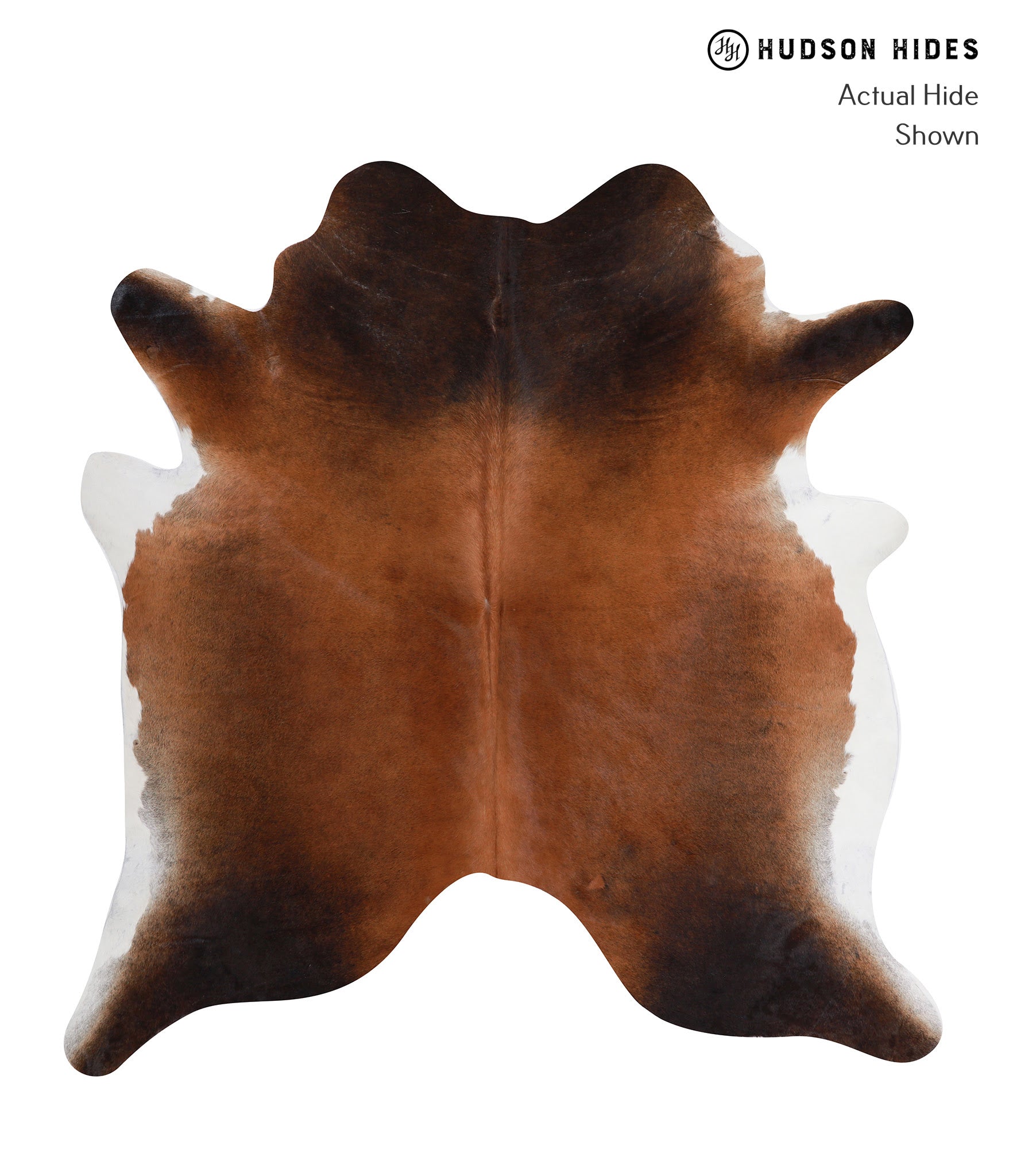 Brown with Red Cowhide Rug #A7590