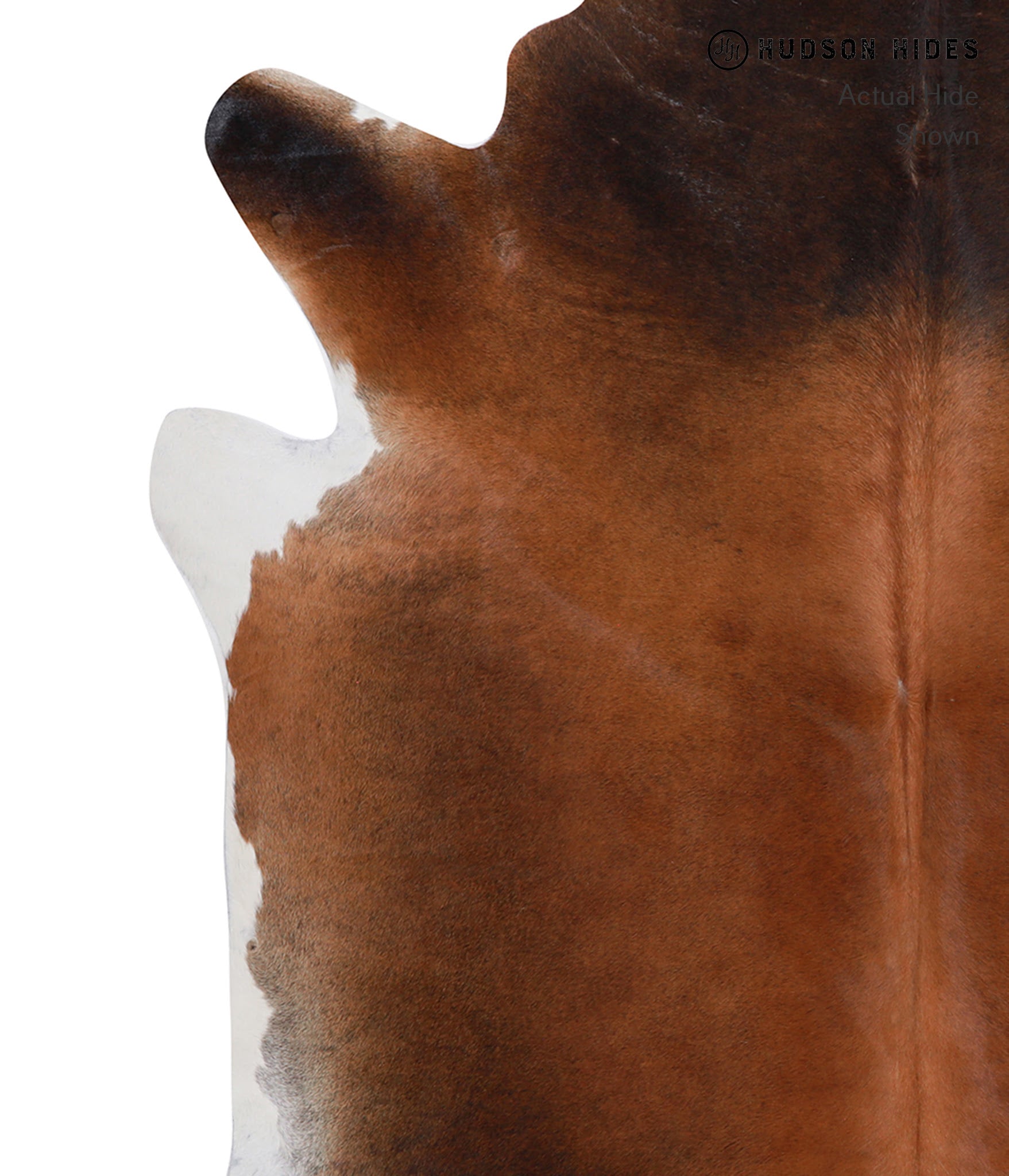 Brown with Red Cowhide Rug #A7590