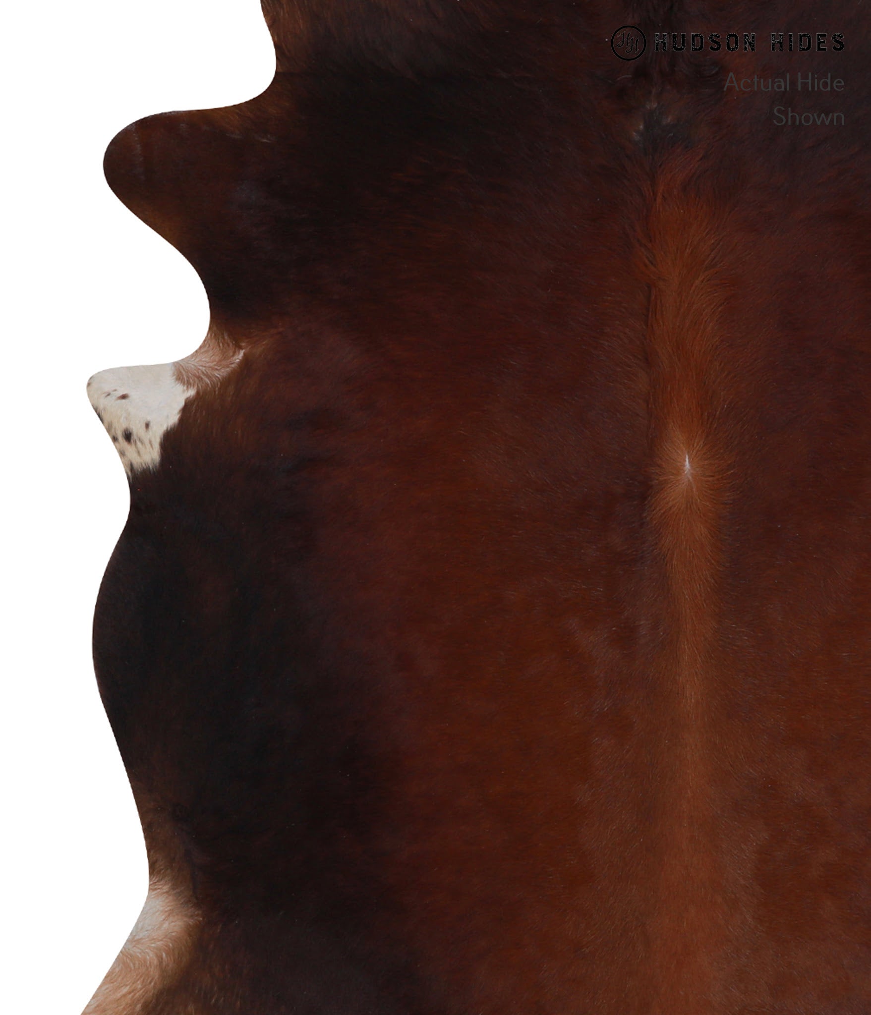 Brown with Red Cowhide Rug #A7828