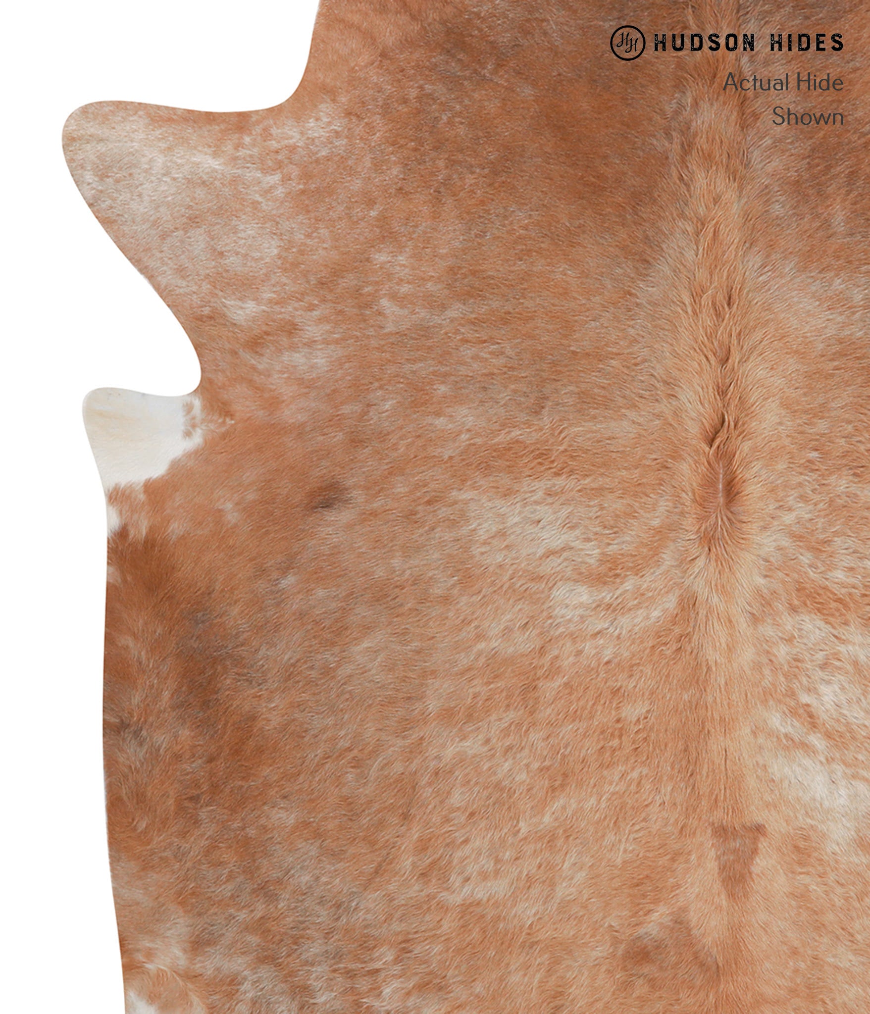 Beige Cowhide Rug #A7977