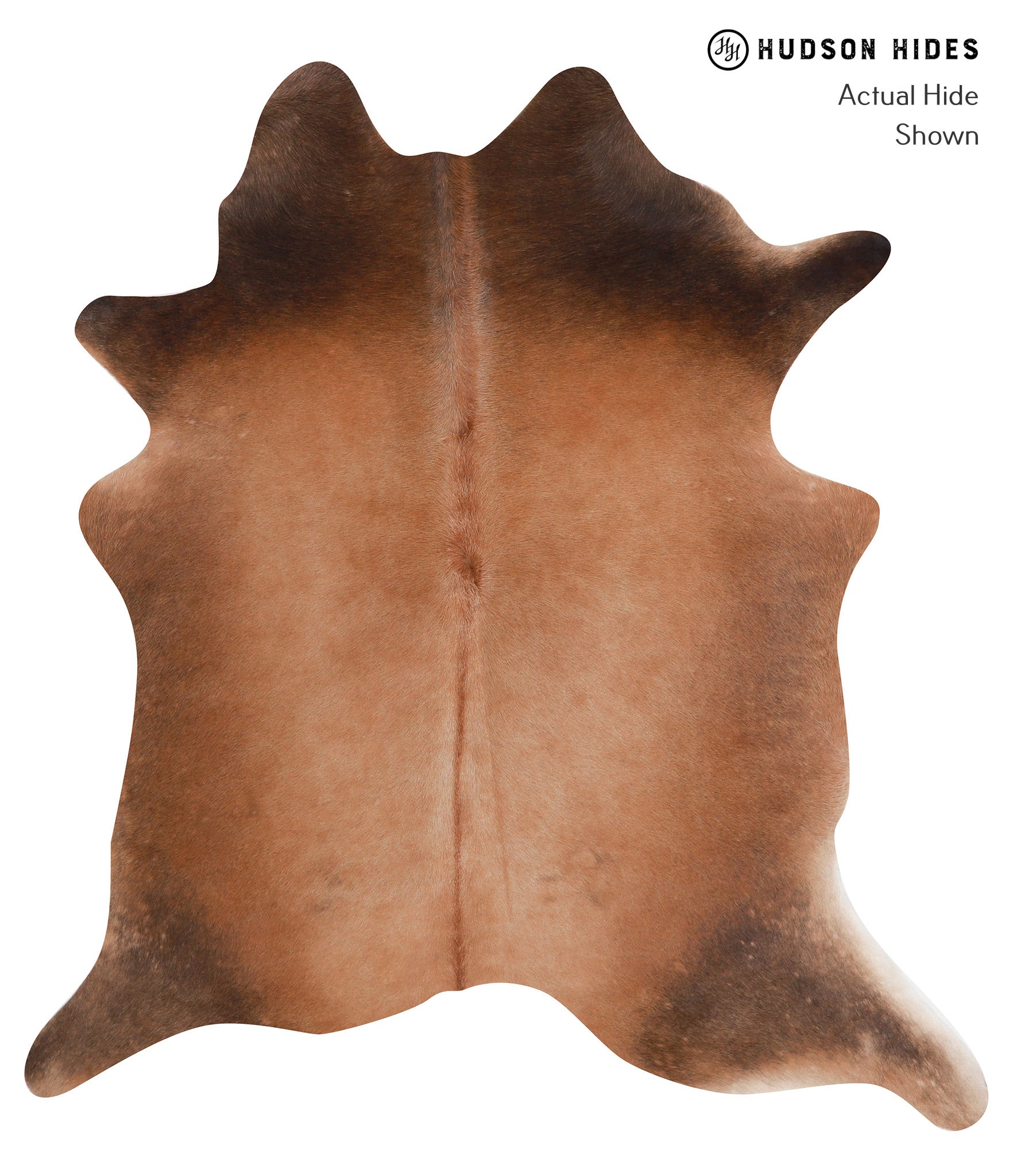 Brown with Red Cowhide Rug #A8440