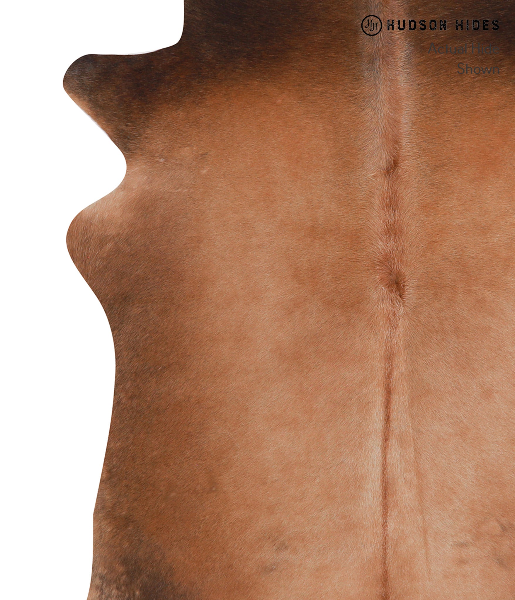 Brown with Red Cowhide Rug #A8440