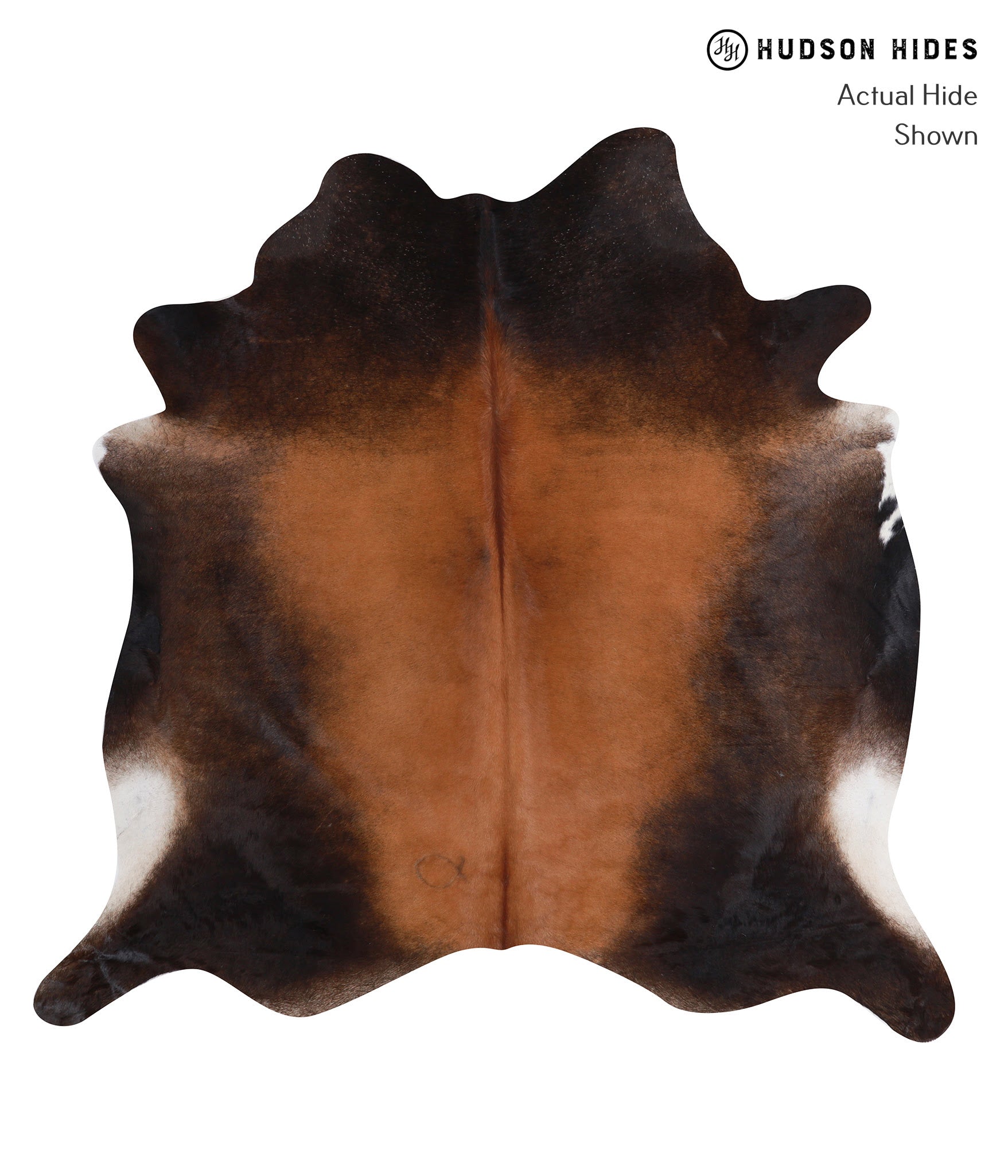 Brown with Red Cowhide Rug #A8493