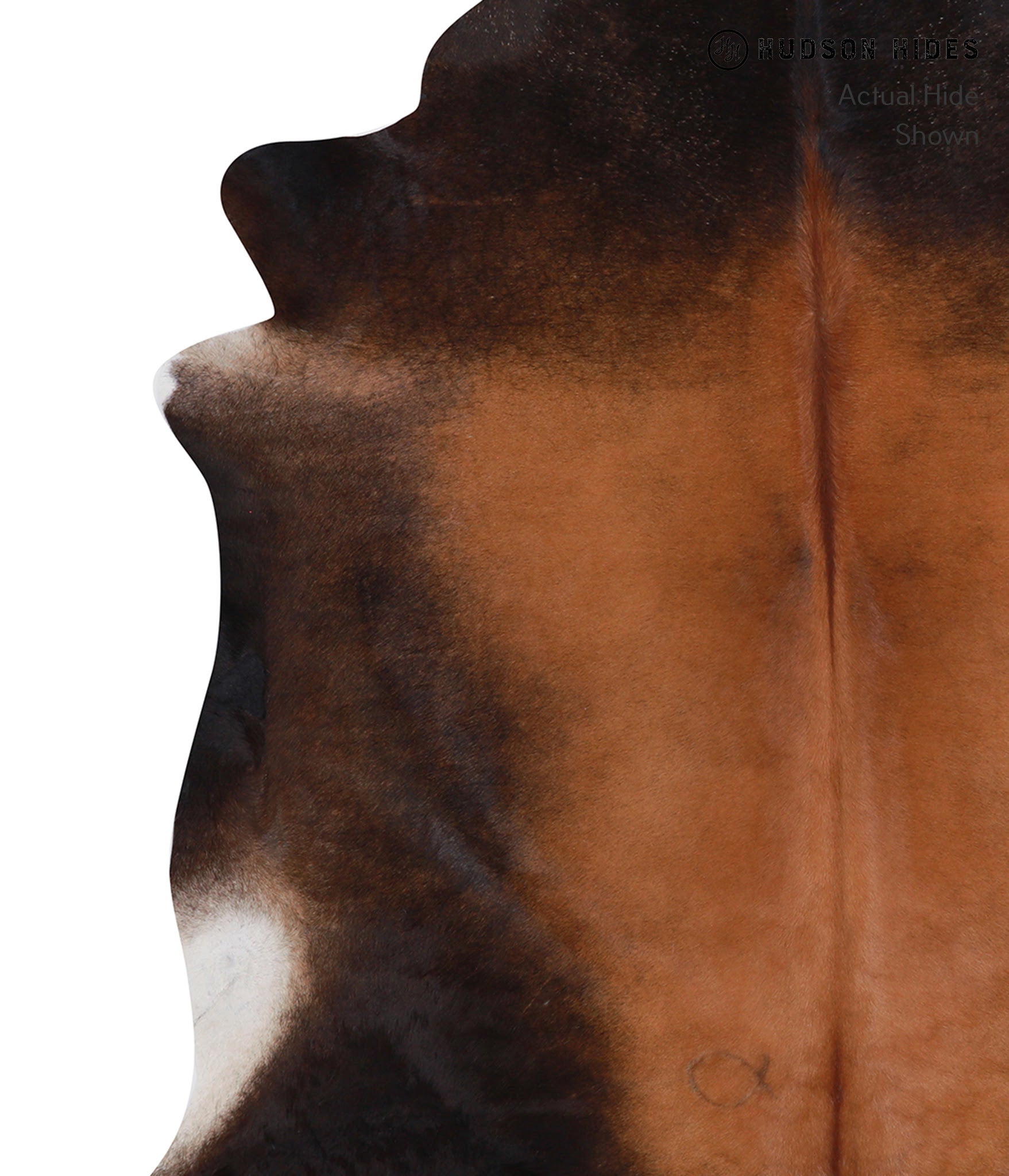 Brown with Red Cowhide Rug #A8493