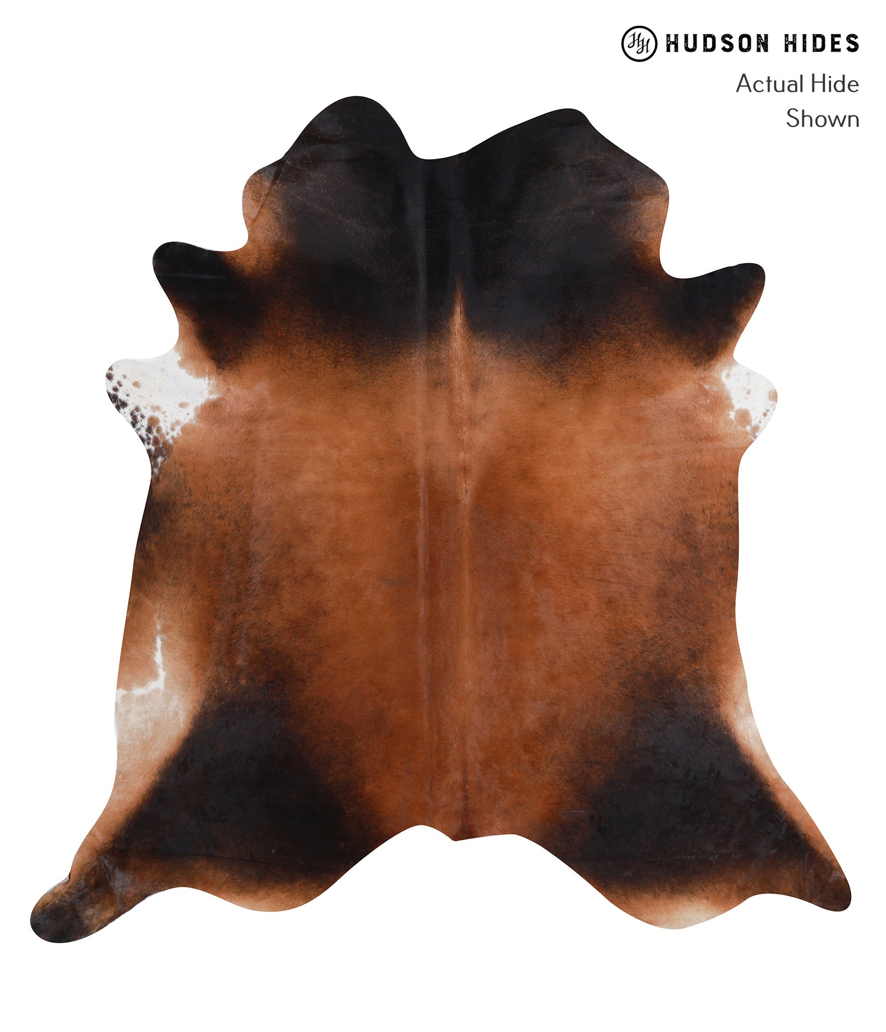 Brown with Red Cowhide Rug #A8567