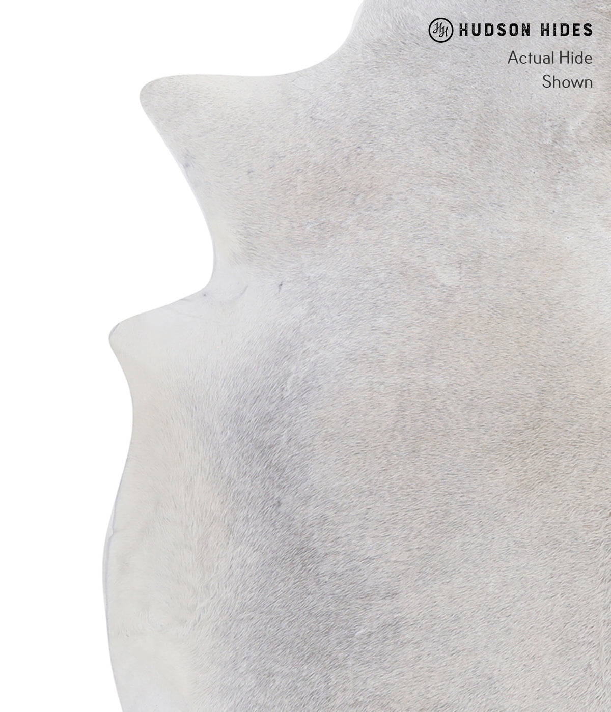 Medium Grey X-Large Brazilian Cowhide Rug 6'4"H x 6'6"W #A8585 by Hudson Hides