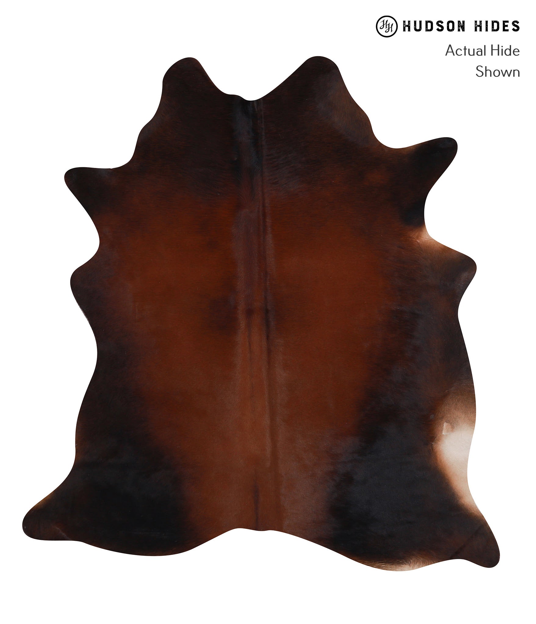 Brown with Red Cowhide Rug #A8586