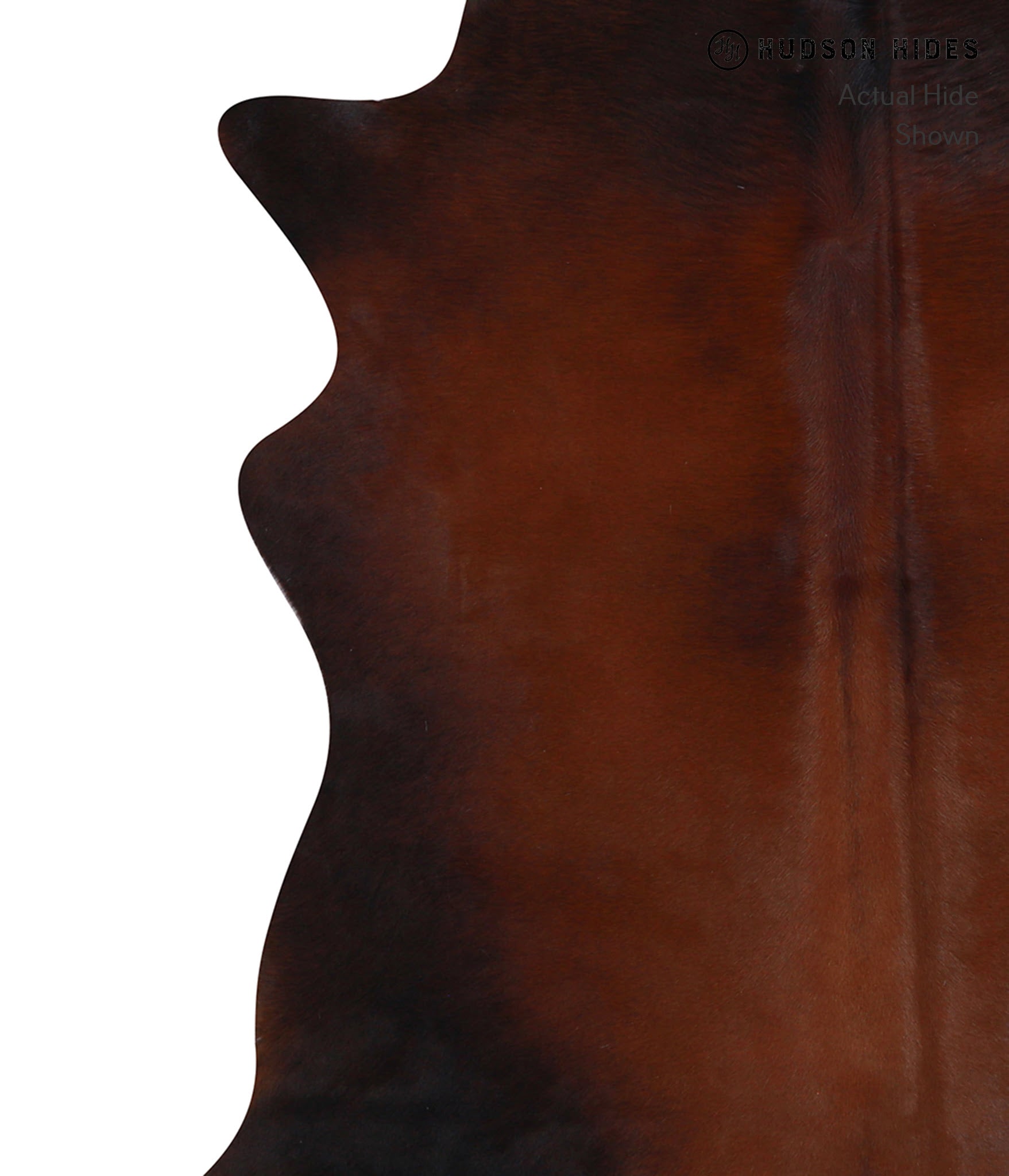 Brown with Red Cowhide Rug #A8586