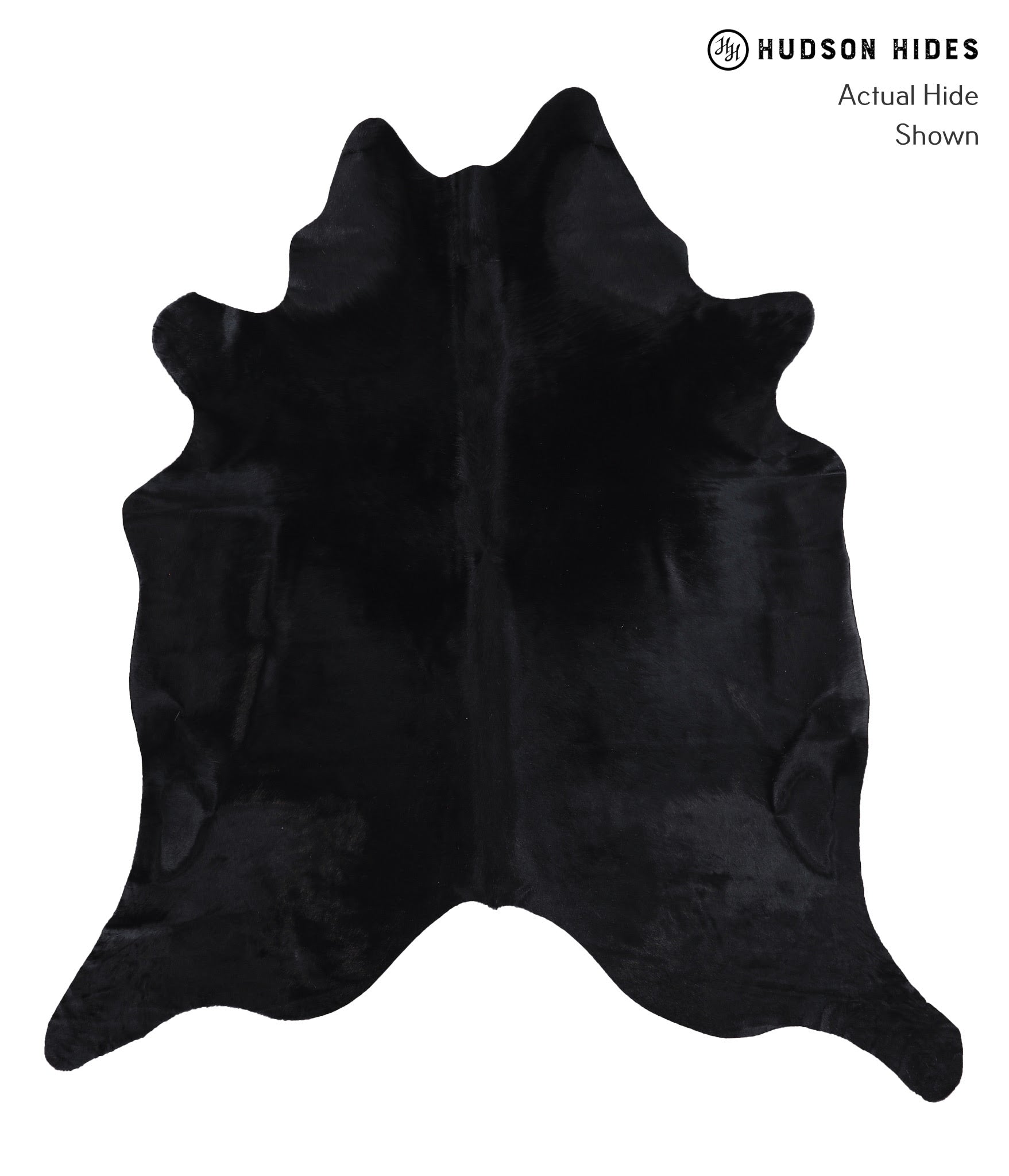 Dyed Cowhide Rug #A8609