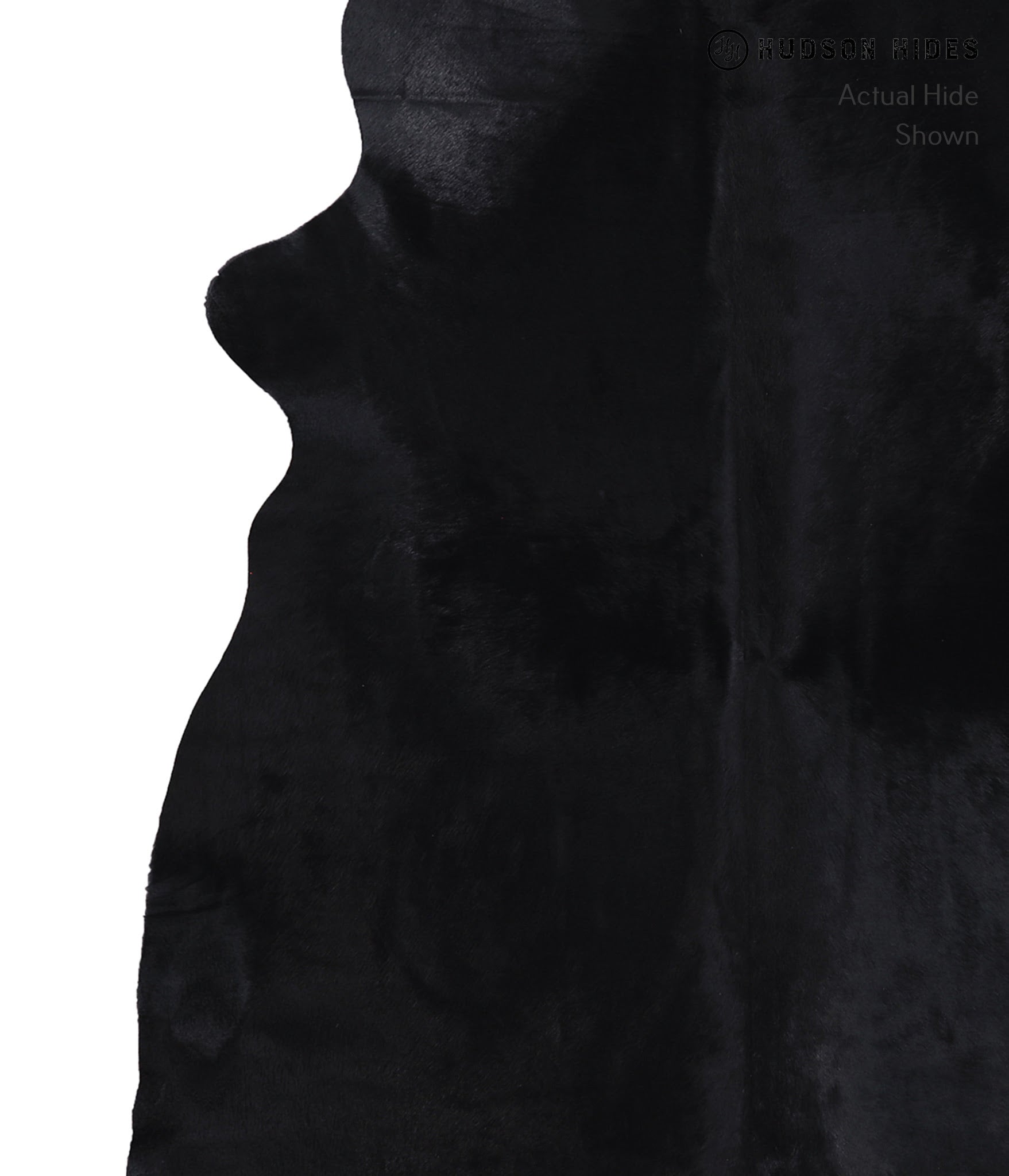 Dyed Cowhide Rug #A8610