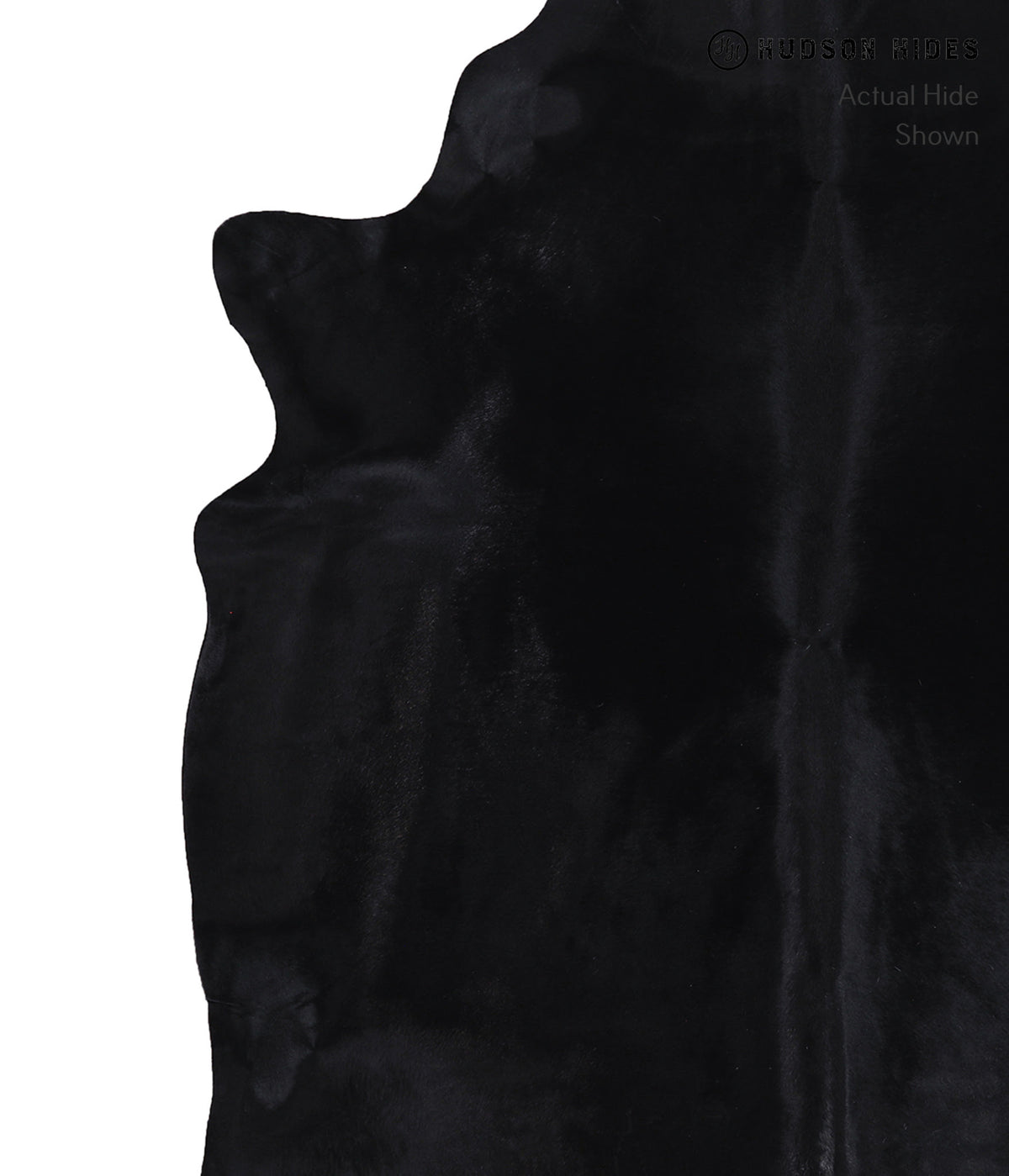 Dyed XX-Large Brazilian Cowhide Rug 7'8"H x 6'7"W #A8612 by Hudson Hides