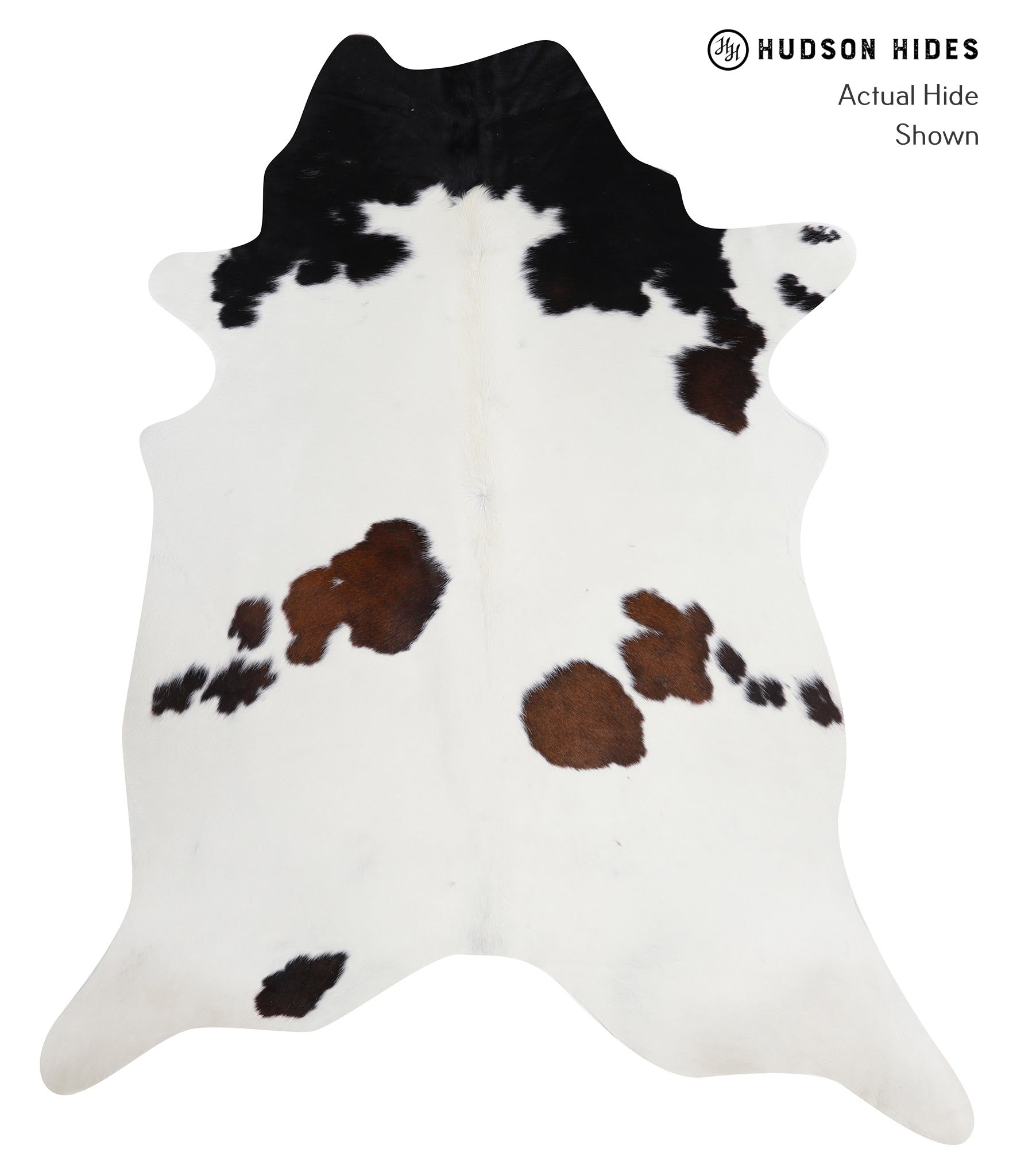Chocolate and White Cowhide Rug #A8616