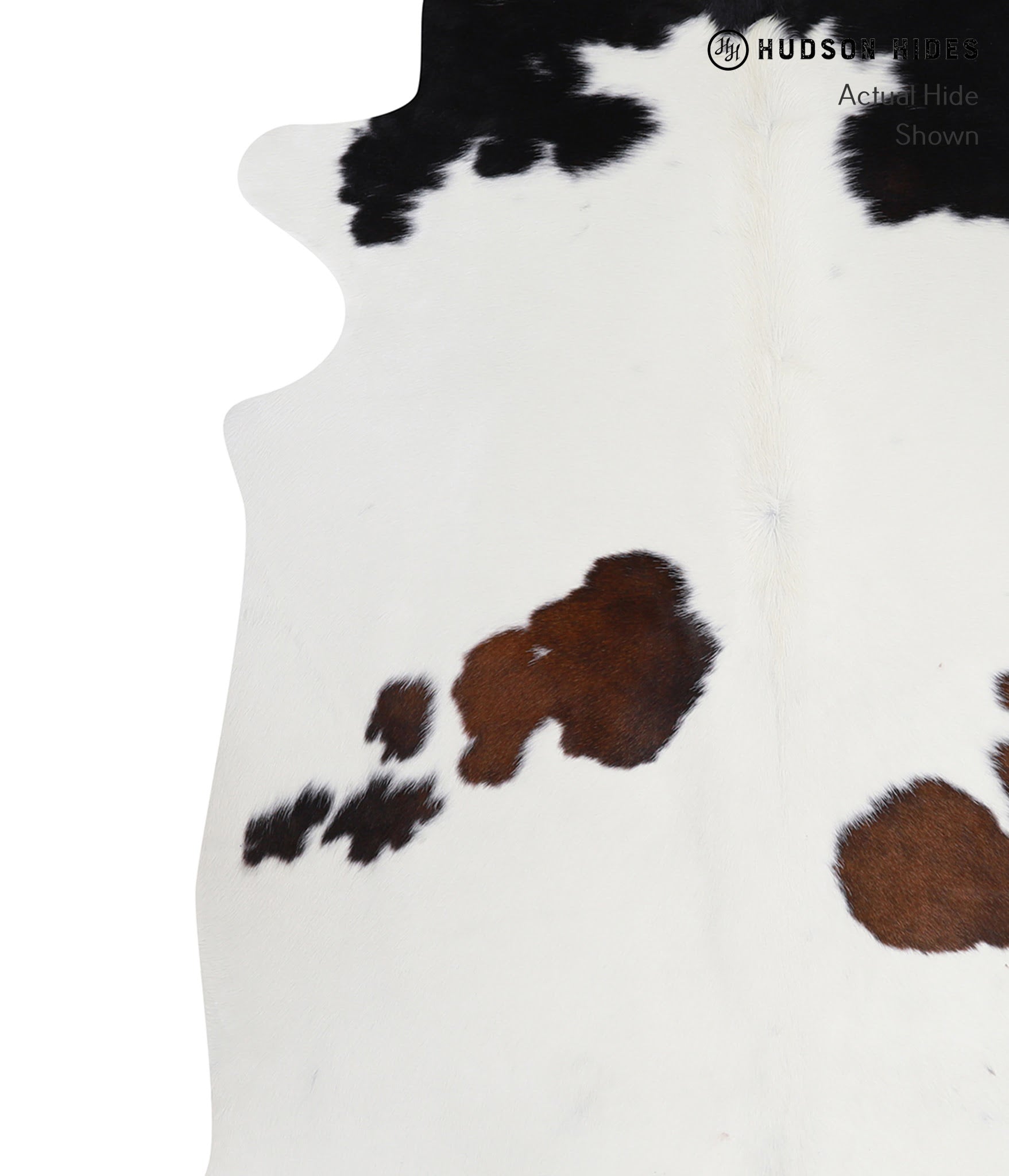 Chocolate and White Cowhide Rug #A8616