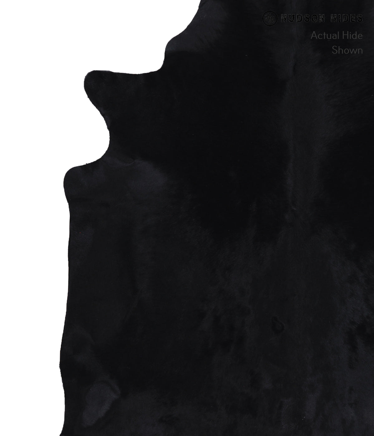 Dyed XX-Large Brazilian Cowhide Rug 7'6"H x 6'10"W #A8659 by Hudson Hides