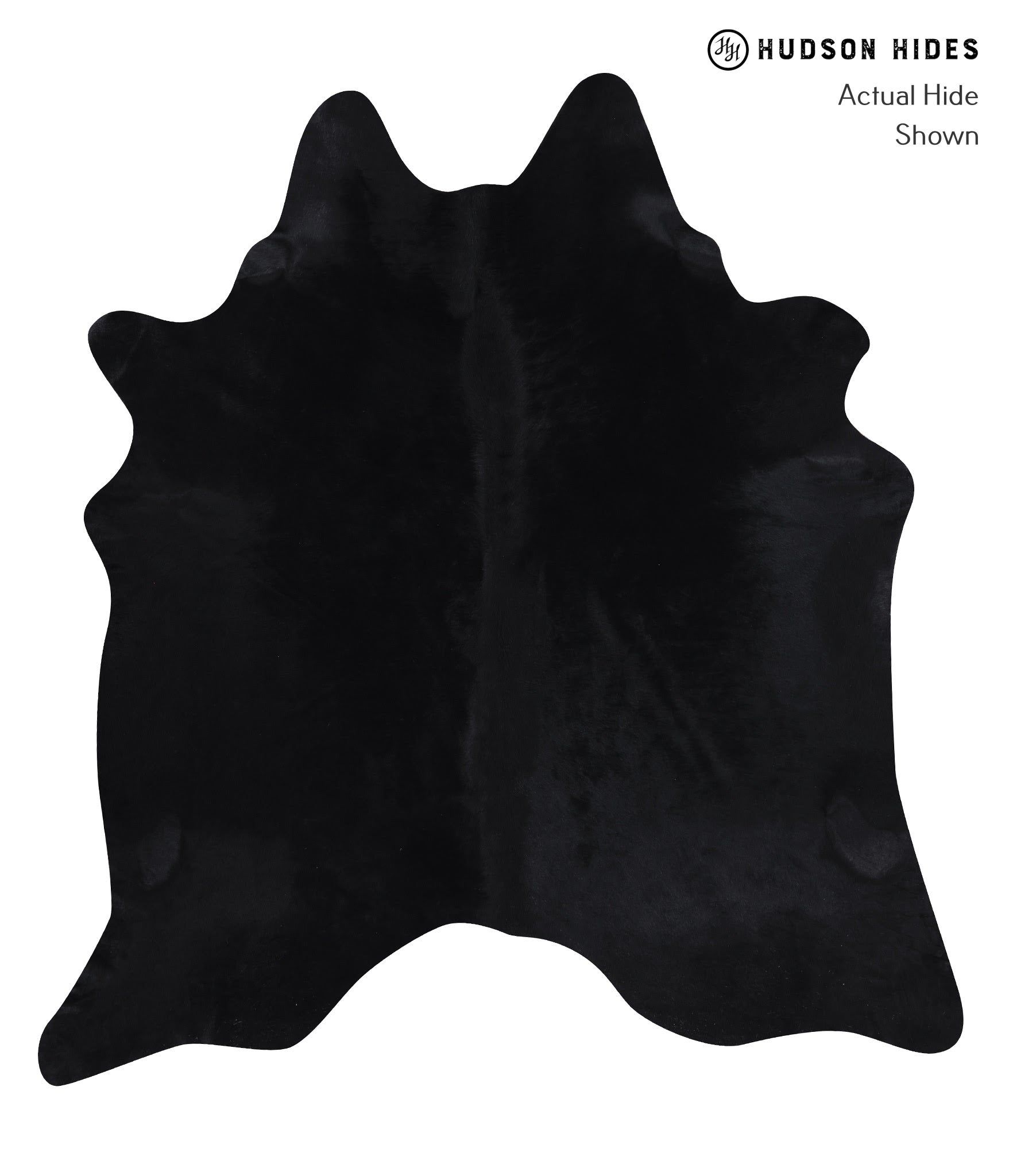 Dyed Cowhide Rug #A8661