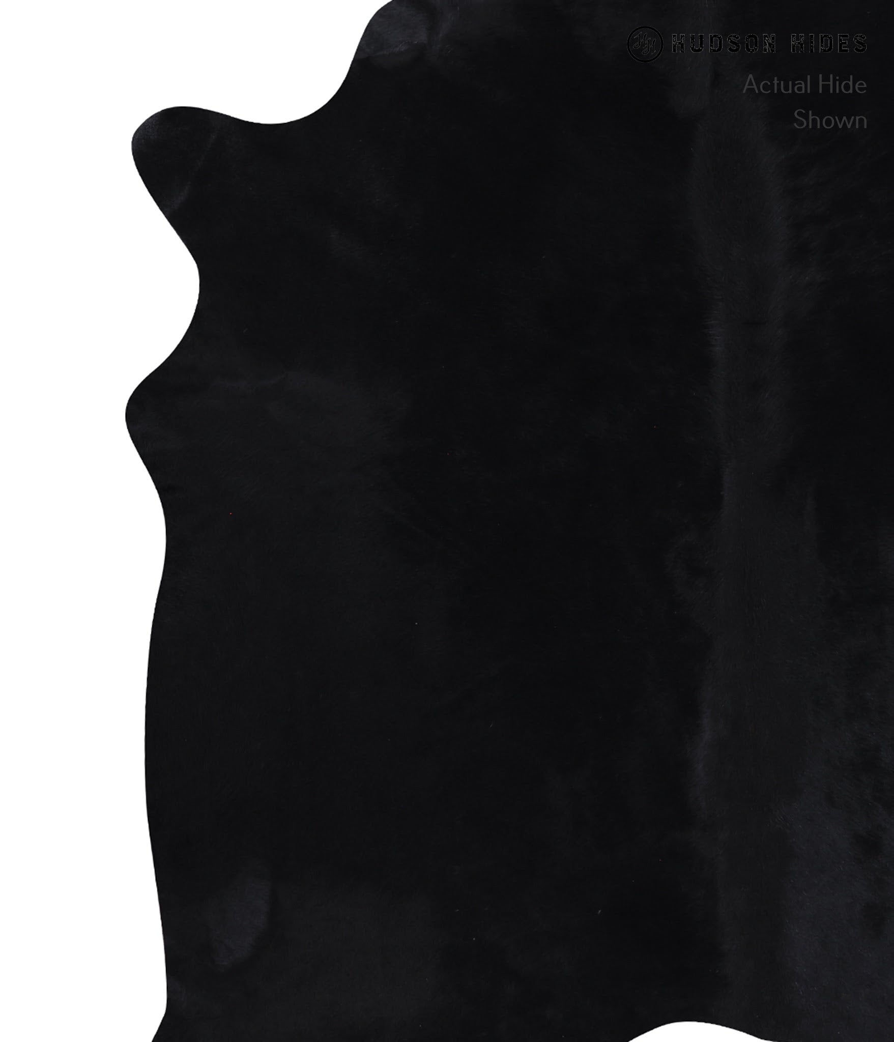 Dyed Cowhide Rug #A8661
