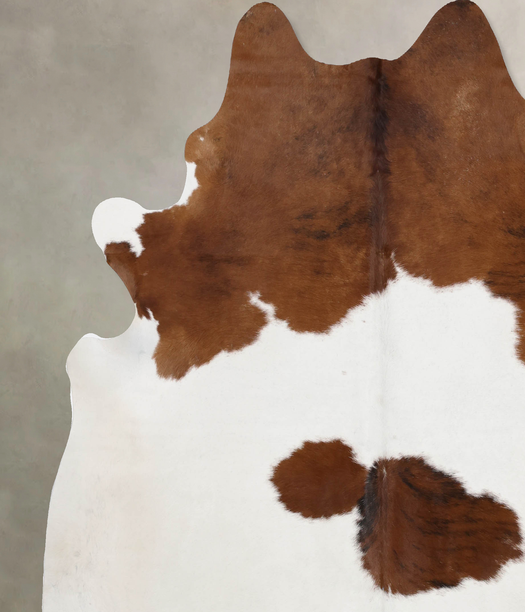 Brown and White XX-Large Brazilian Cowhide Rug 8'5"H x 7'3"W #B10097 b