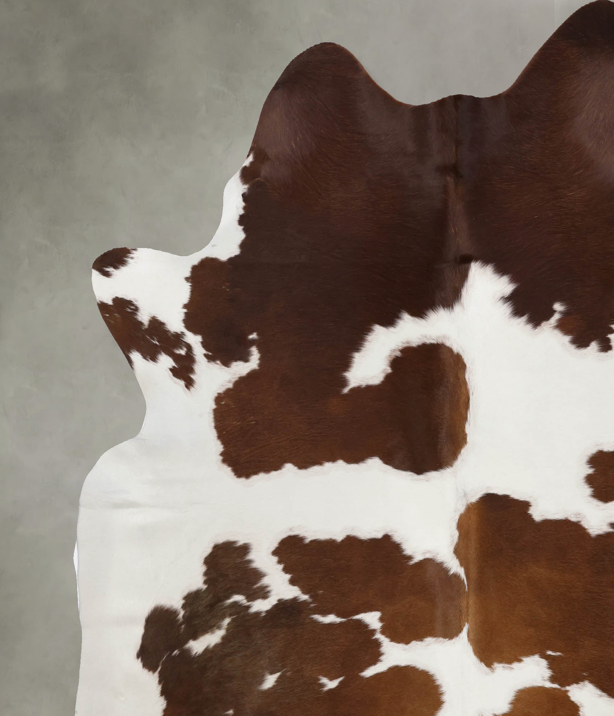 Brown and White XX-Large Brazilian Cowhide Rug 7'10"H x 6'8"W #B10145 by Hudson Hides