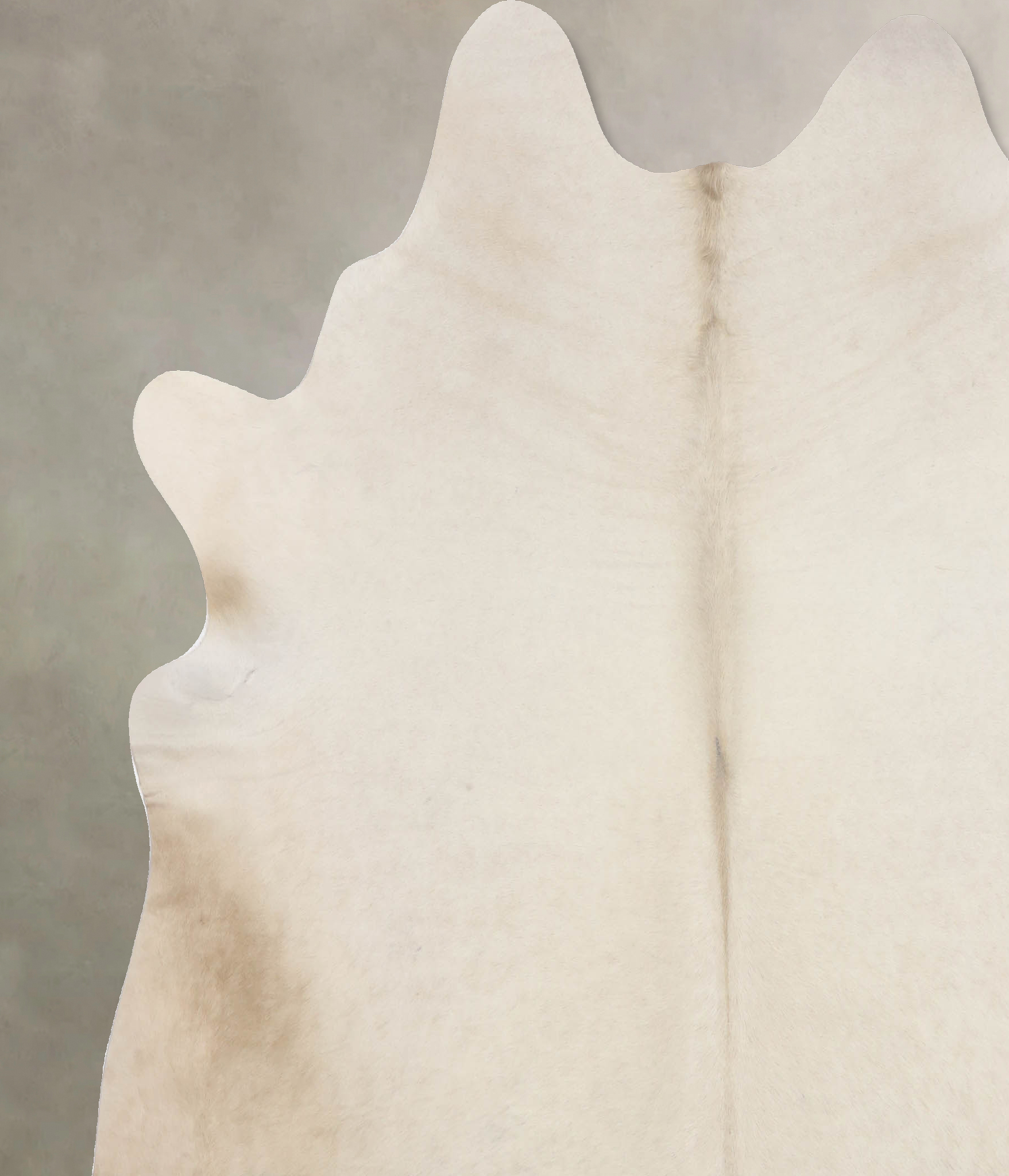 Champagne Cowhide Rug #B10156