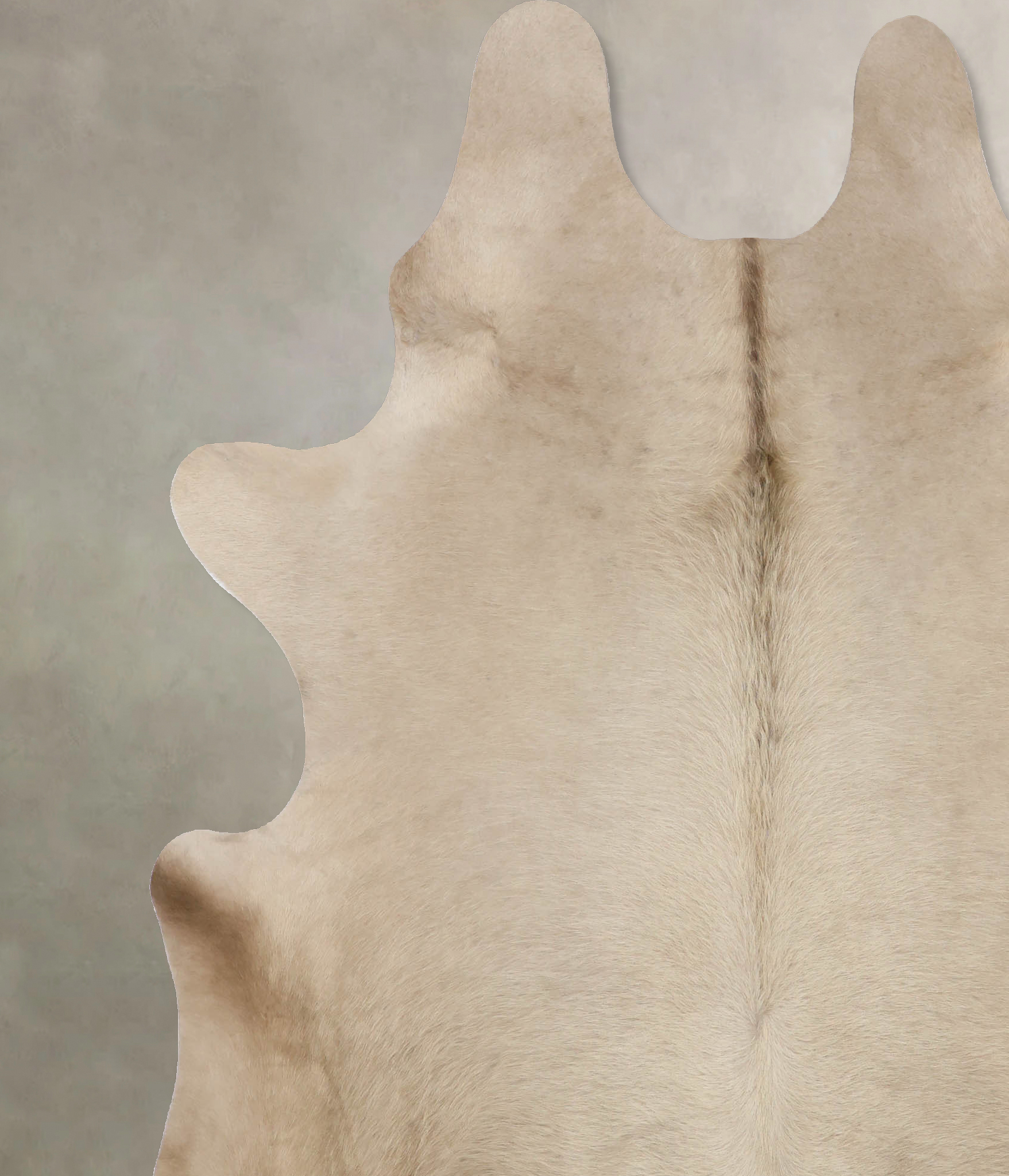 Champagne Cowhide Rug #B10170