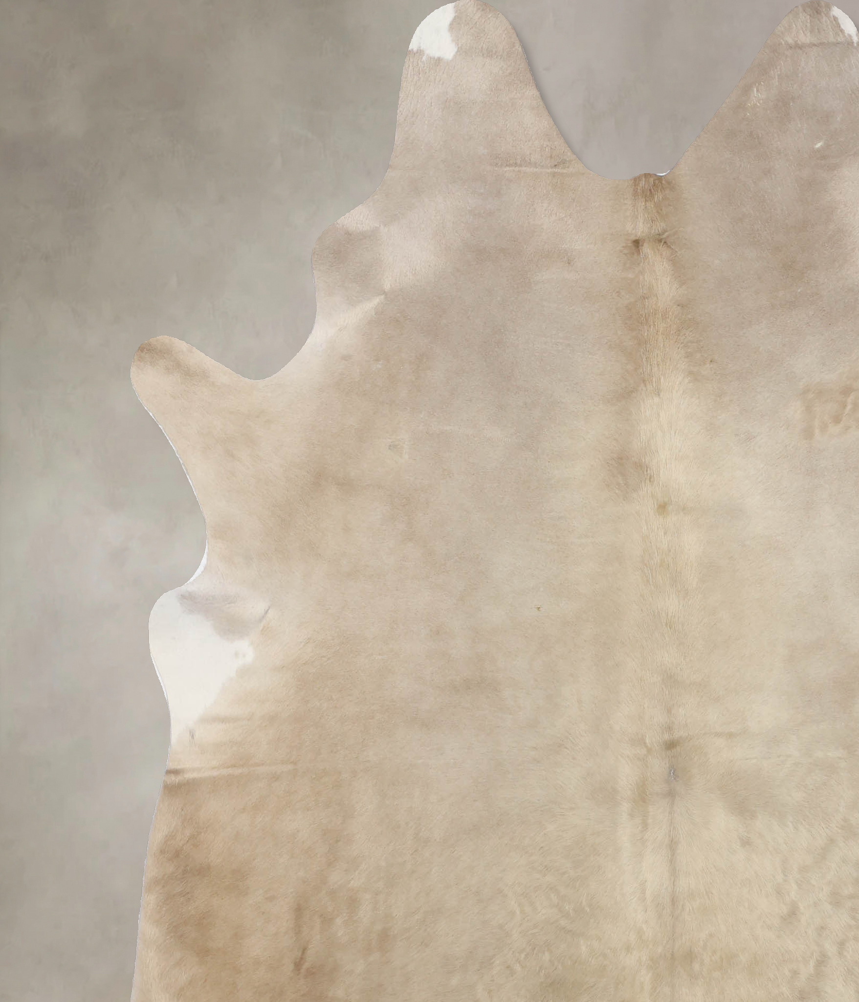 Champagne Cowhide Rug #B10173
