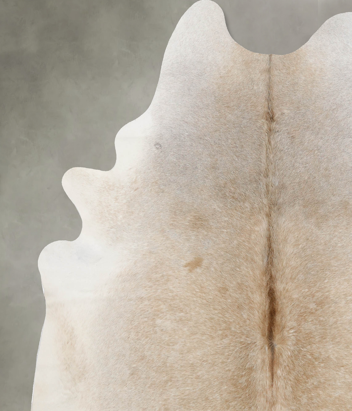 Grey with Beige XX-Large Brazilian Cowhide Rug 8'0"H x 6'6"W #B10228 by Hudson Hides