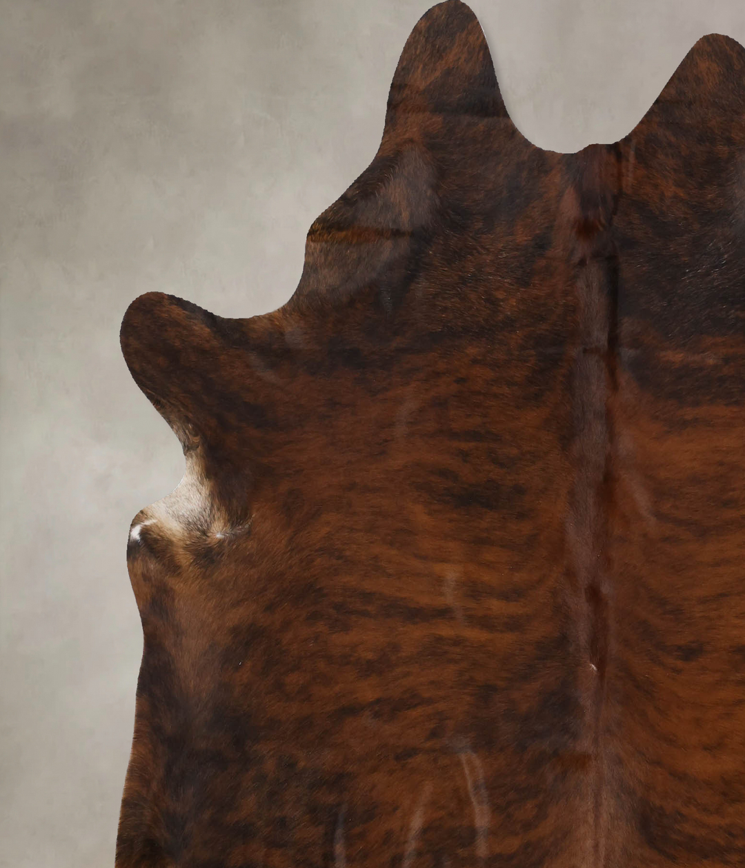 Dark Brindle X-Large Brazilian Cowhide Rug 6'10"H x 6'1"W #B10255 by H
