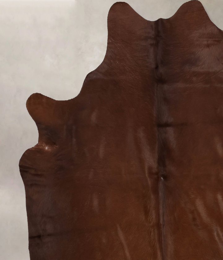 Solid Brown X-Large Brazilian Cowhide Rug 6'10"H x 6'1"W #B10319 by Hudson Hides