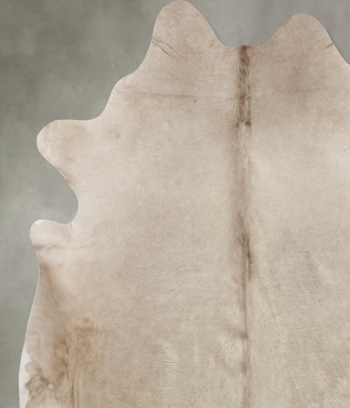 Champagne X-Large Brazilian Cowhide Rug 7'0"H x 6'8"W #B10496 by Hudson Hides