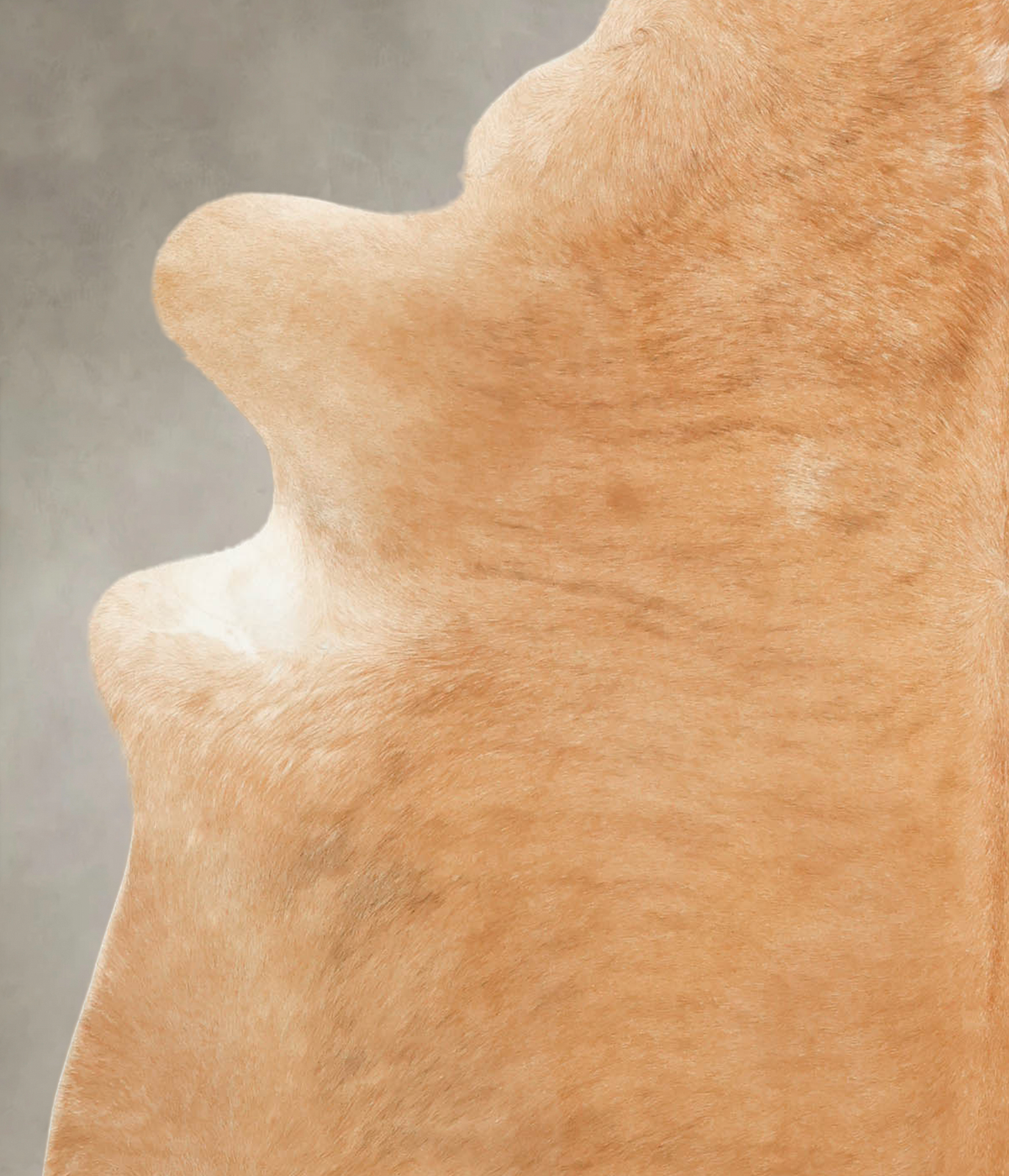Beige X-Large Brazilian Cowhide Rug 7'2"H x 6'2"W #B1065 by Hudson Hides
