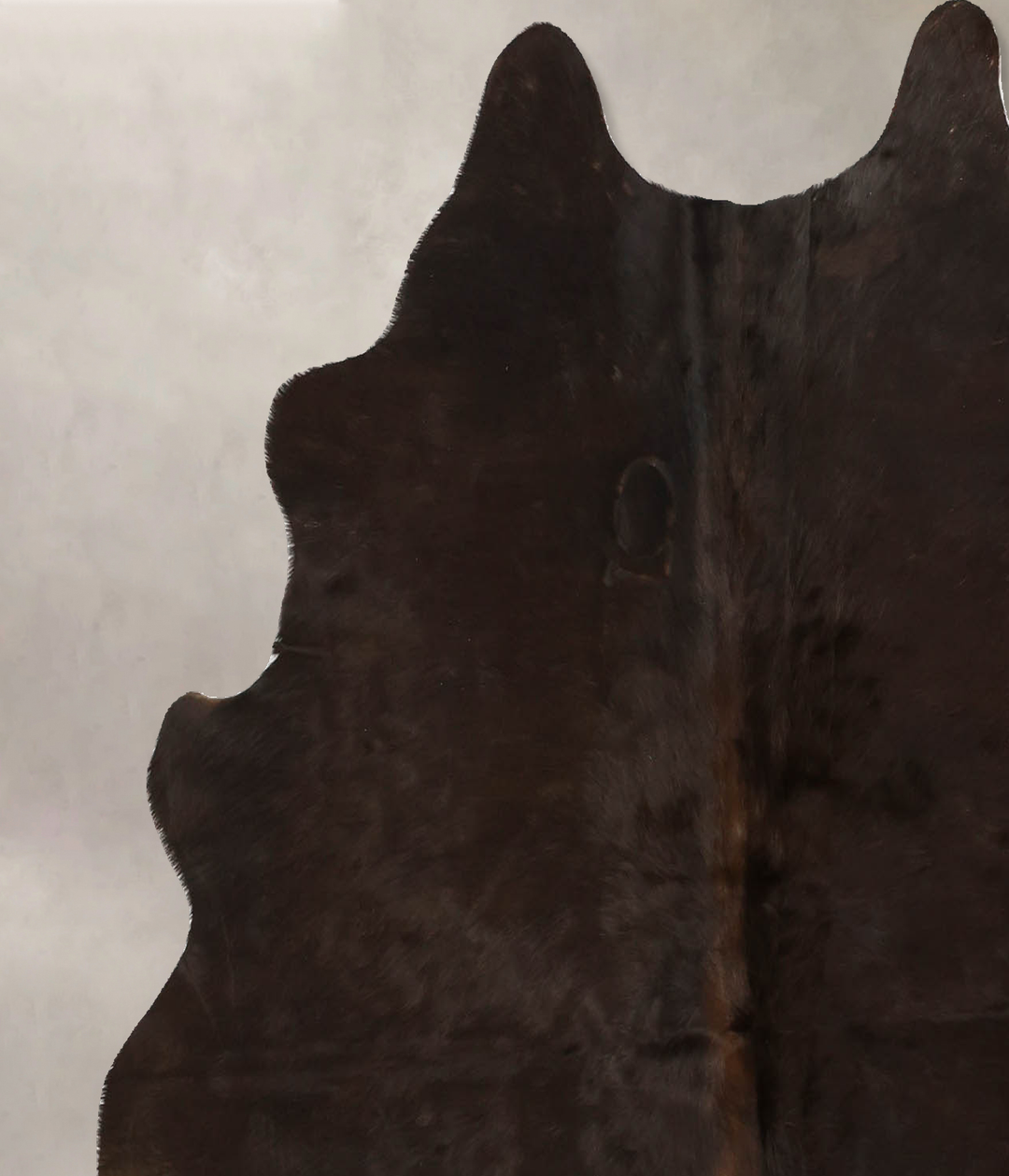 Chocolate Medium Brazilian Cowhide Rug 5'1"H x 5'0"W #B11058 by Hudson