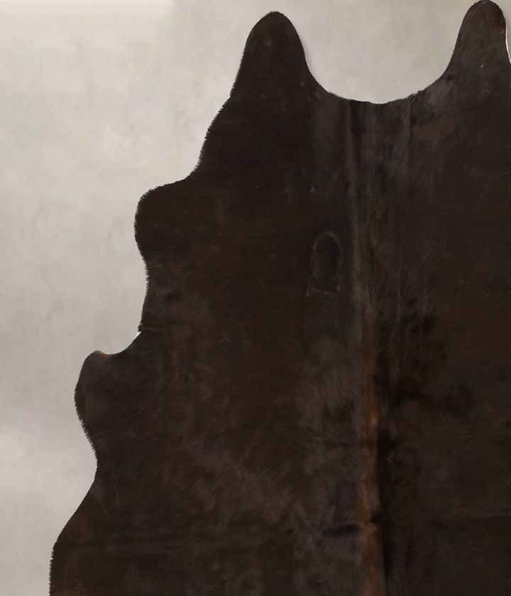 Chocolate Medium Brazilian Cowhide Rug 5'1"H x 5'0"W #B11058 by Hudson Hides