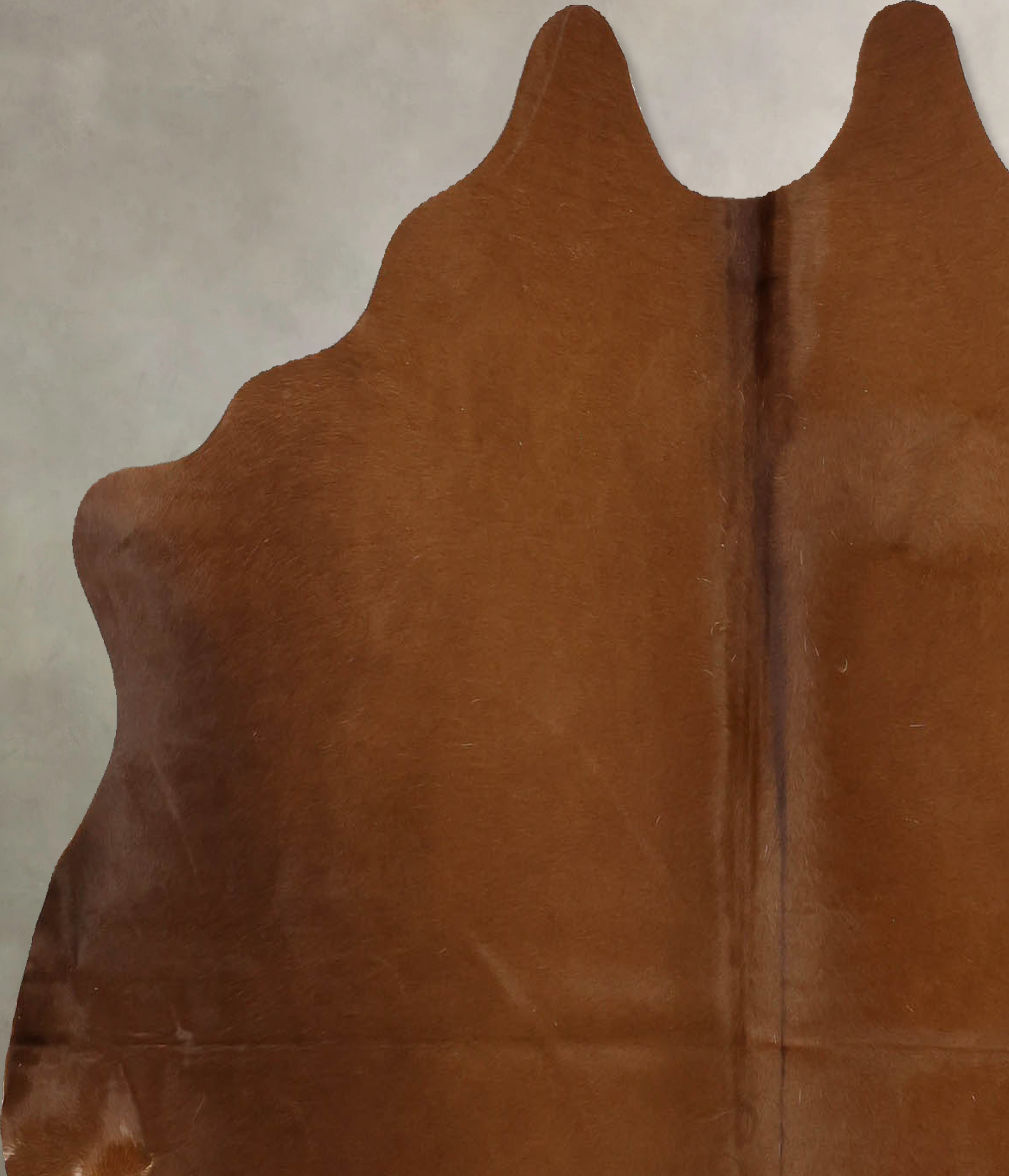 Warm Caramel Cowhide Rug #B11059