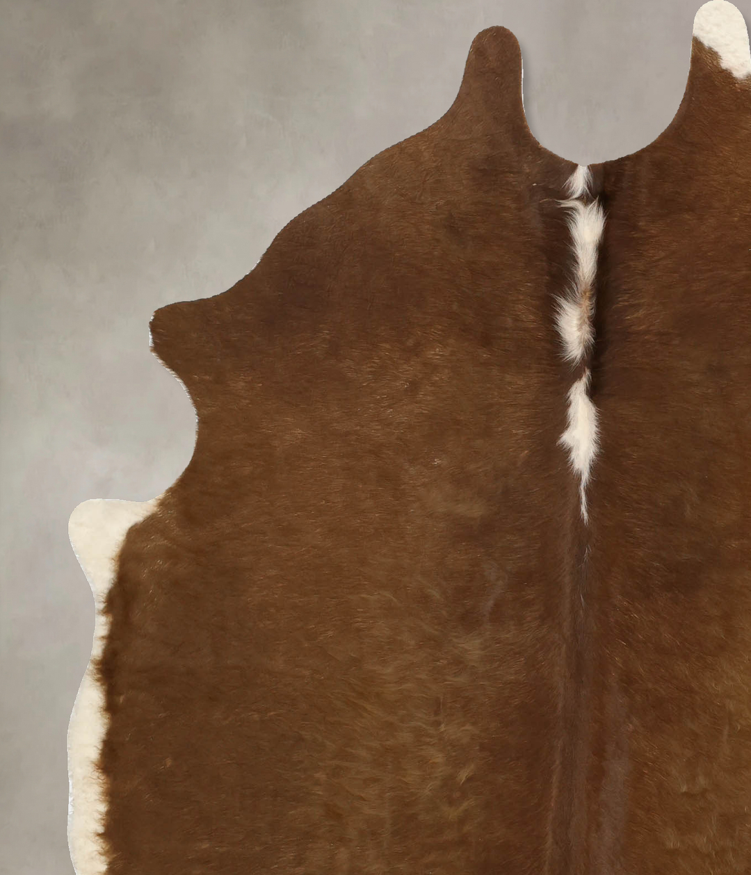 Brown and White Regular Large Brazilian Cowhide Rug 6'6"H x 5'4"W #B11