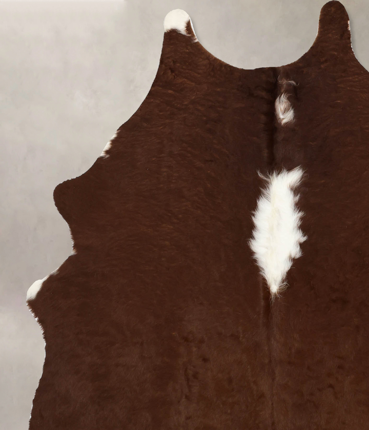 Brown and White Regular Large Brazilian Cowhide Rug 7'0"H x 5'6"W #B11209 by Hudson Hides