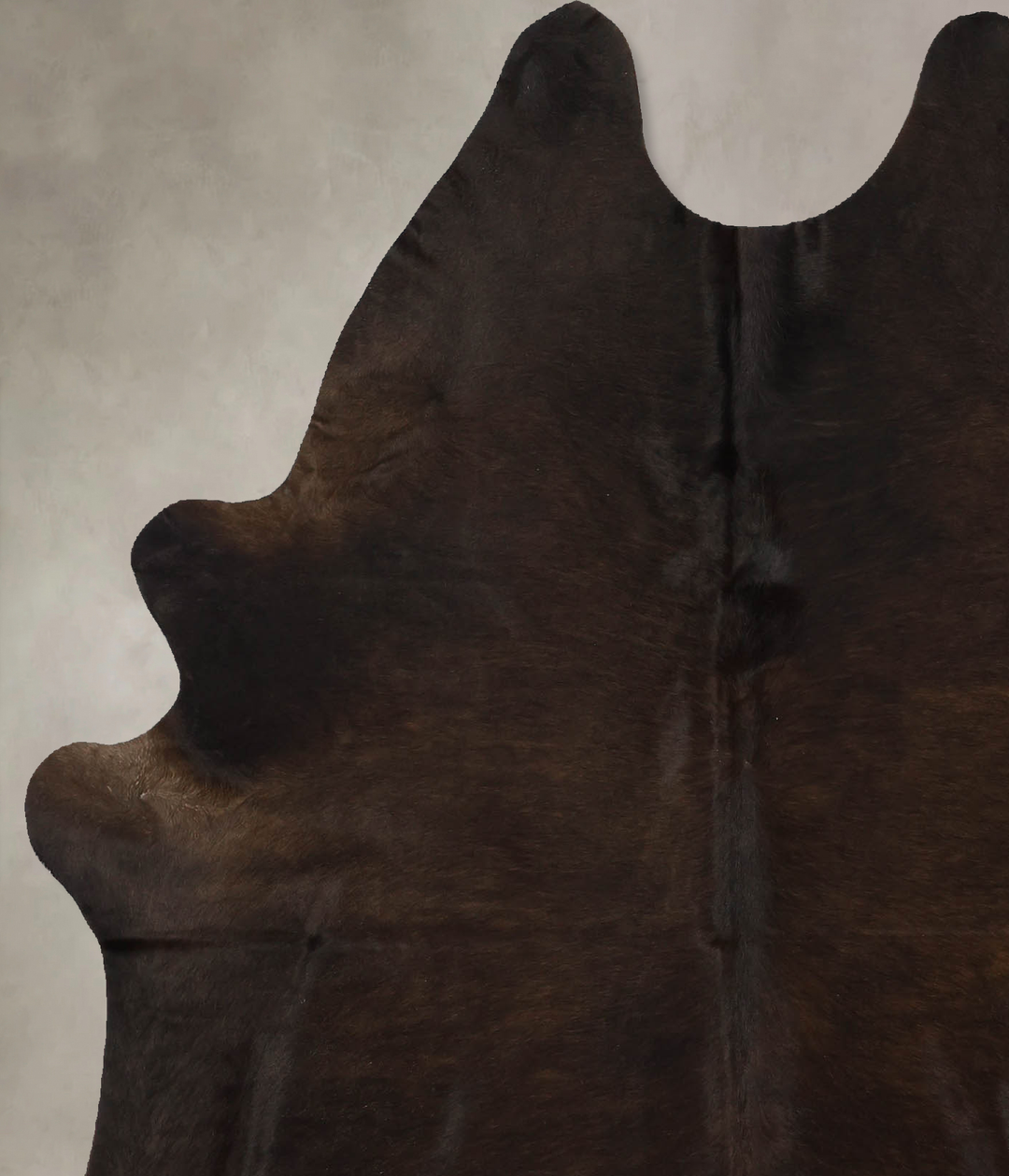 Chocolate Large Brazilian Cowhide Rug 6'9"H x 5'6"W #B11247 by Hudson 