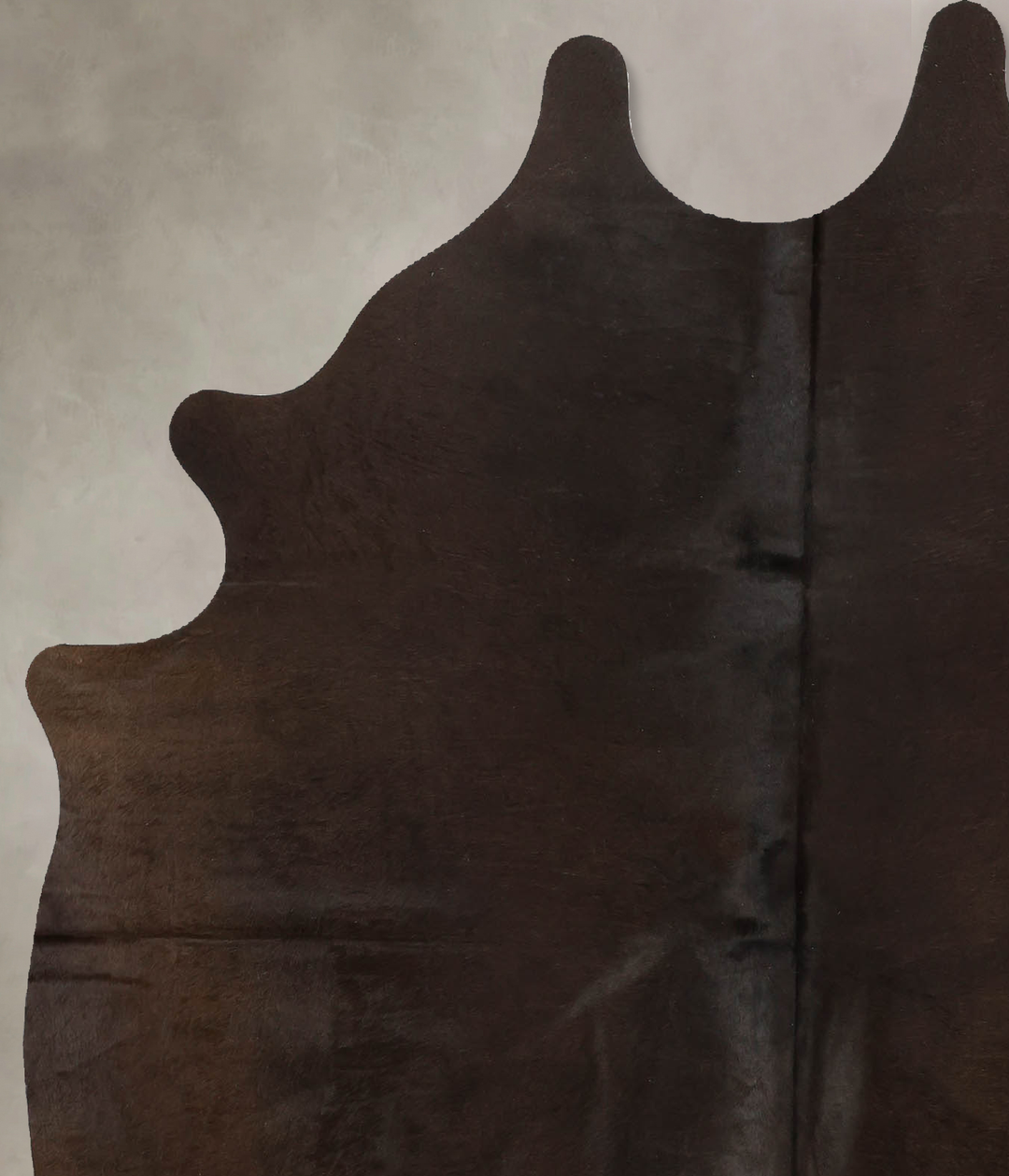 Chocolate Large Brazilian Cowhide Rug 6'4"H x 5'4"W #B11282 by Hudson 
