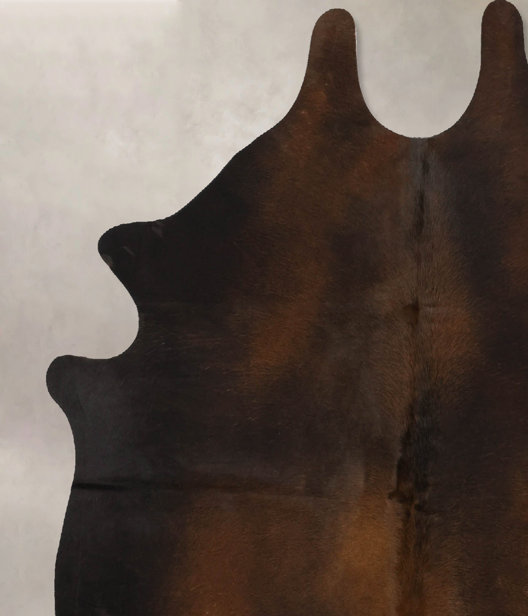 Chocolate Large Brazilian Cowhide Rug 6'3"H x 5'5"W #B11284 by Hudson 